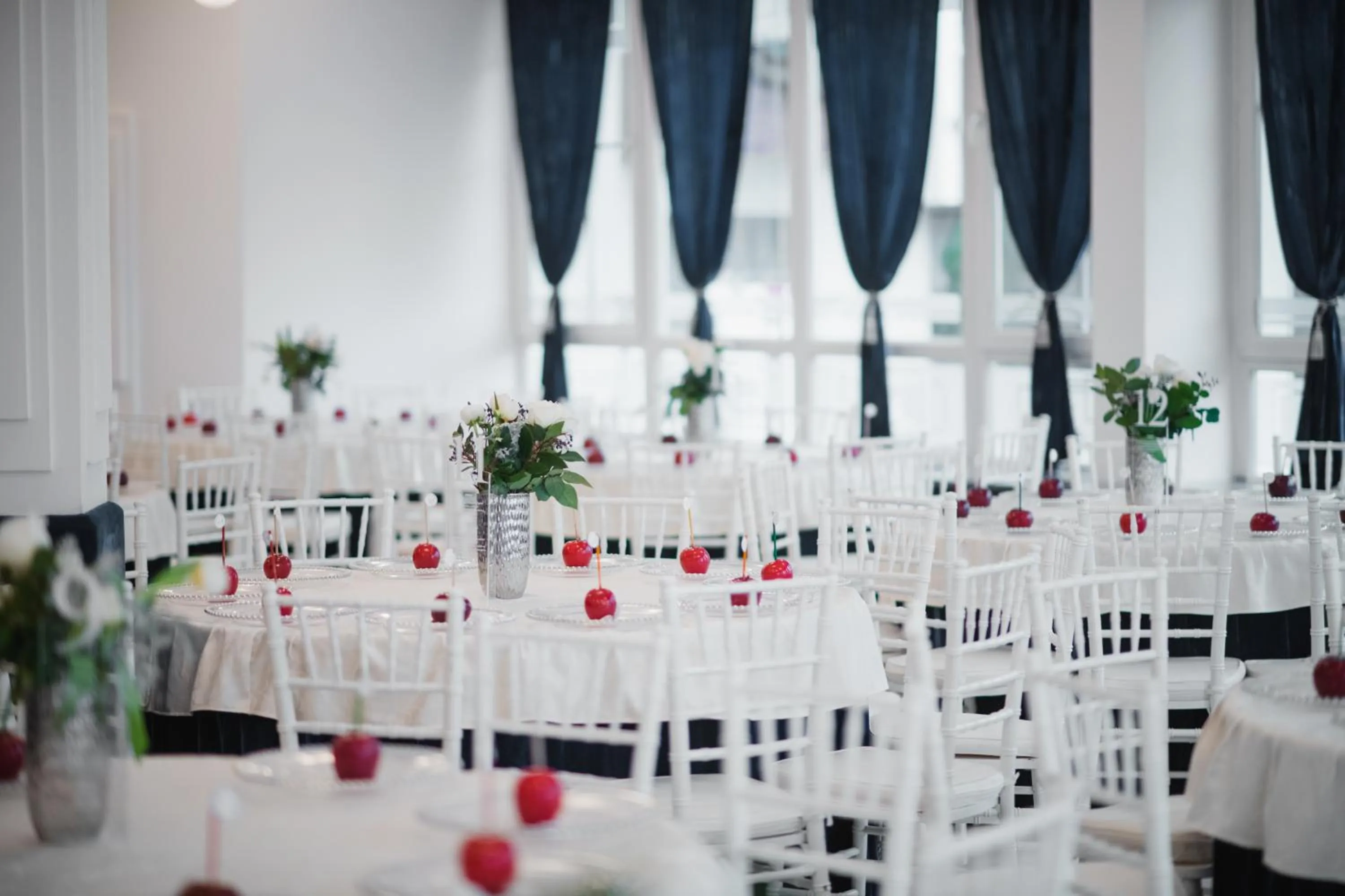 Banquet/Function facilities in Hotel Park Sfantu Gheorghe