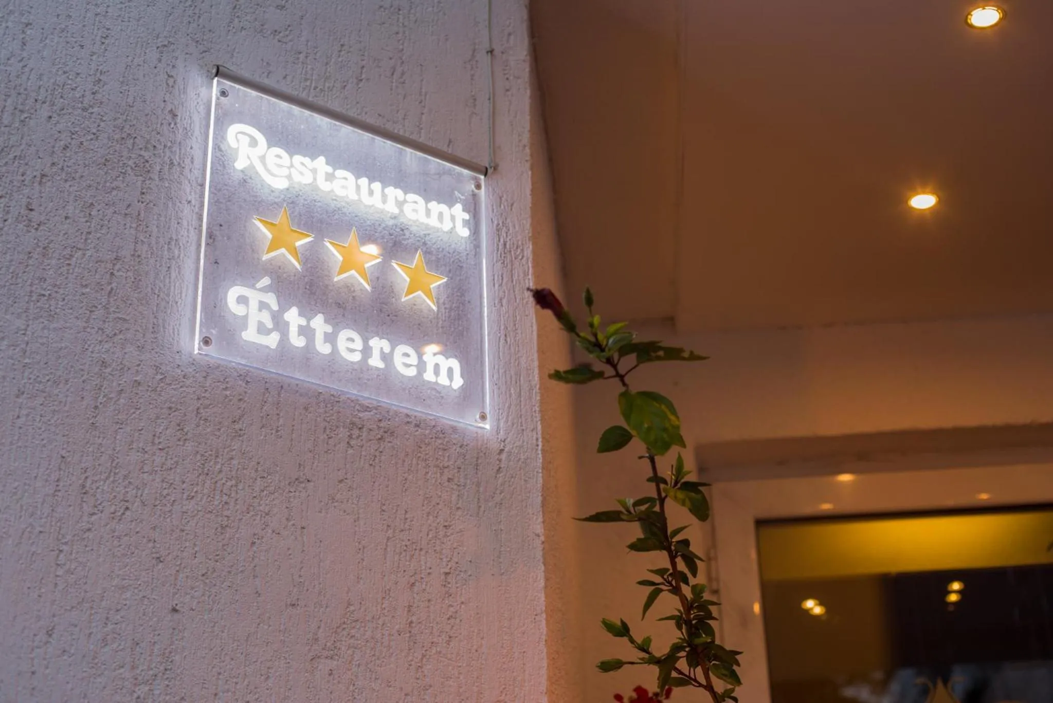 Facade/entrance in Hotel Park Sfantu Gheorghe