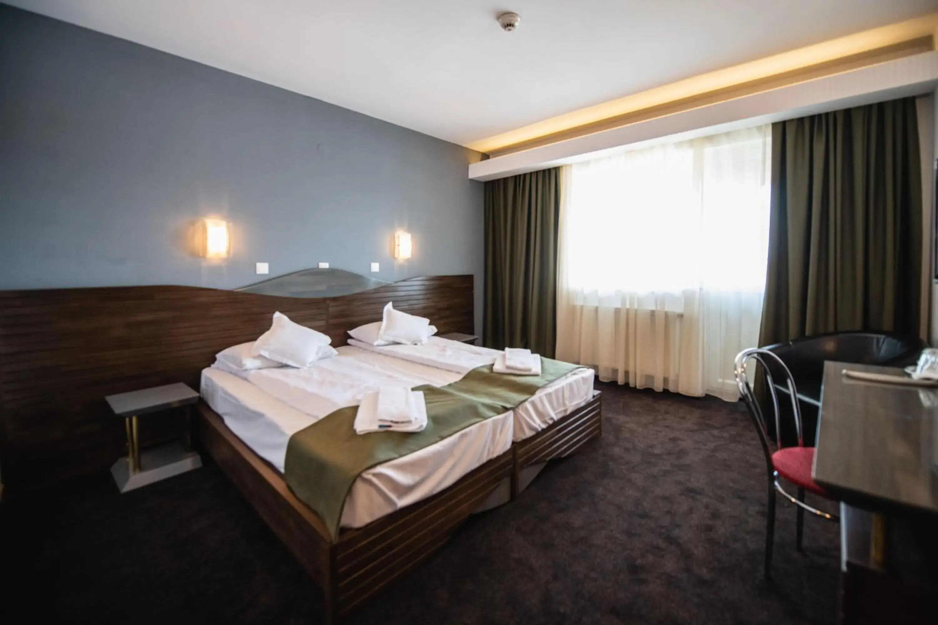 Double Room in Hotel Park Sfantu Gheorghe Double Room in Hotel Park Sfantu Gheorghe