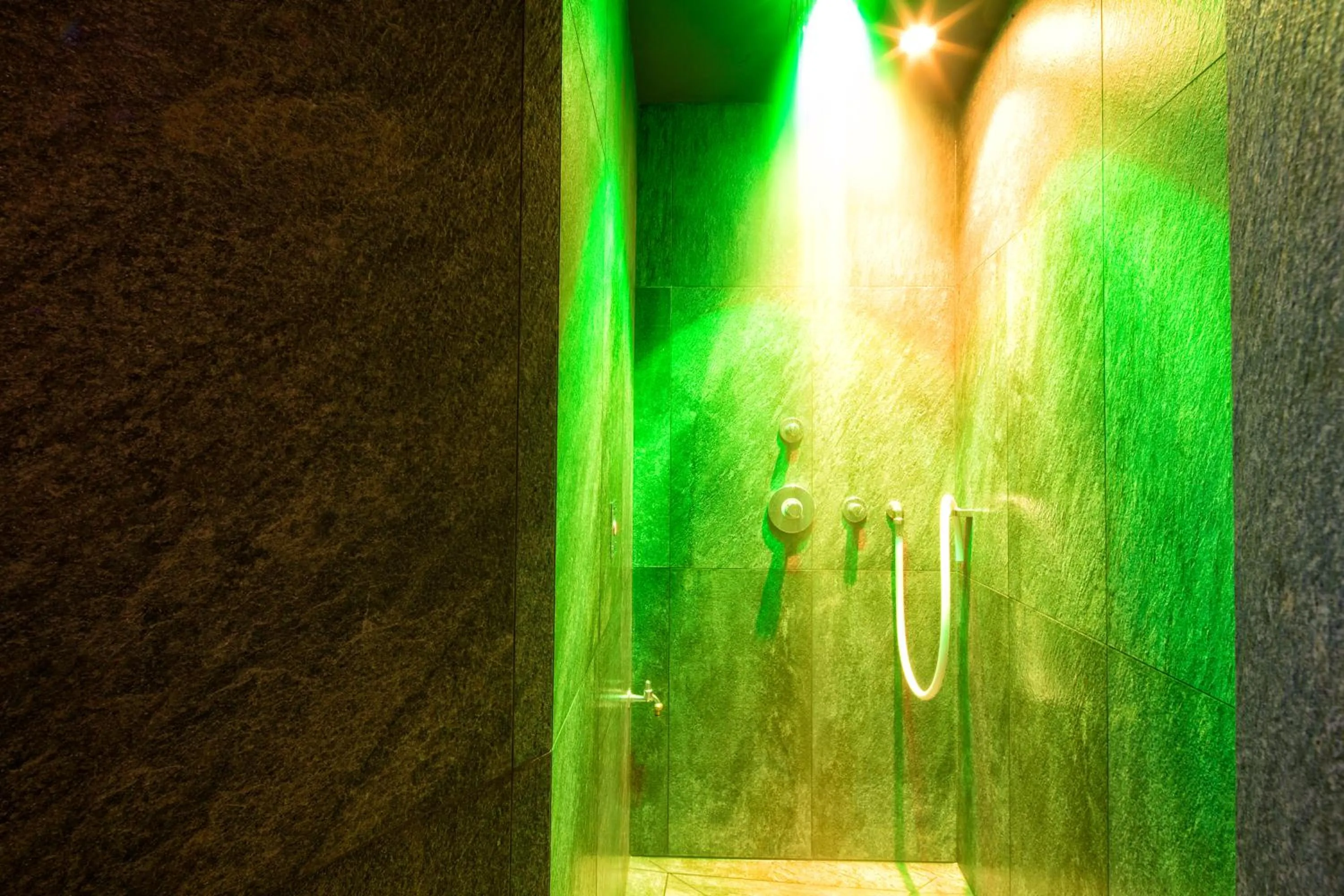 Spa and wellness centre/facilities in Mountain Design Hotel Eden Selva