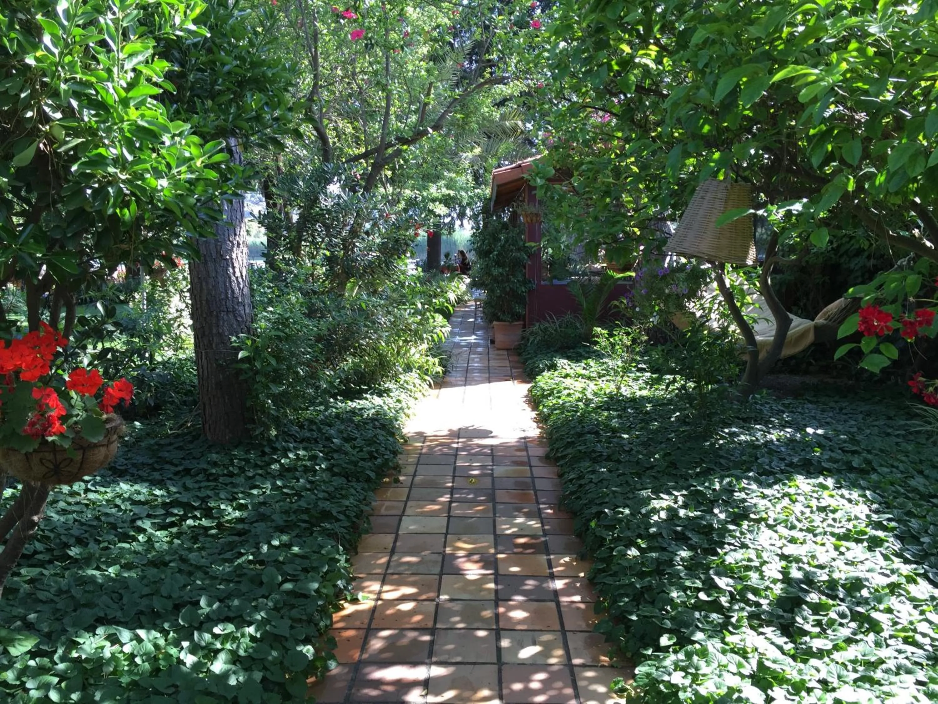 Garden in Hotel Happy Caretta