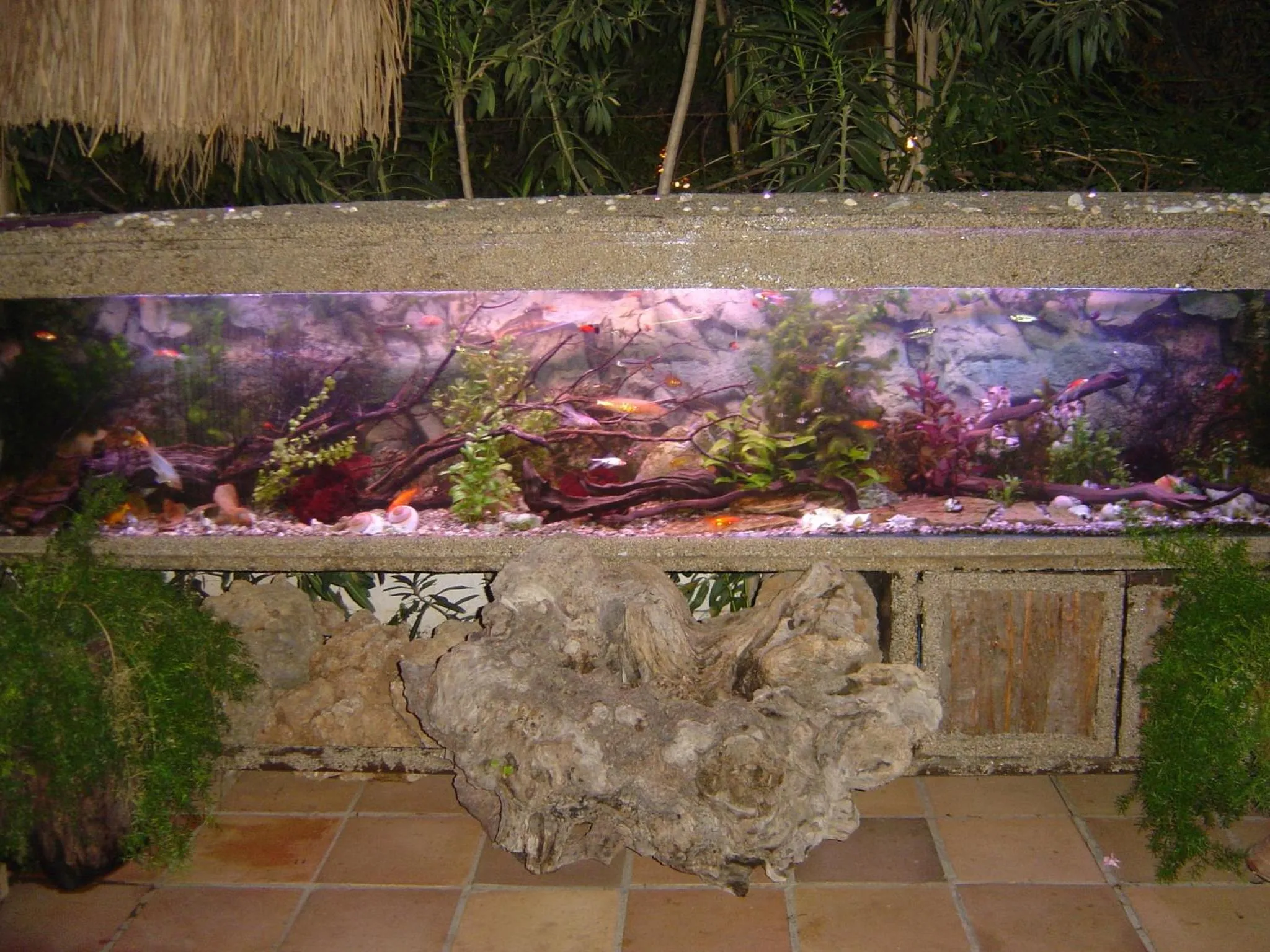 Other in Hotel Happy Caretta