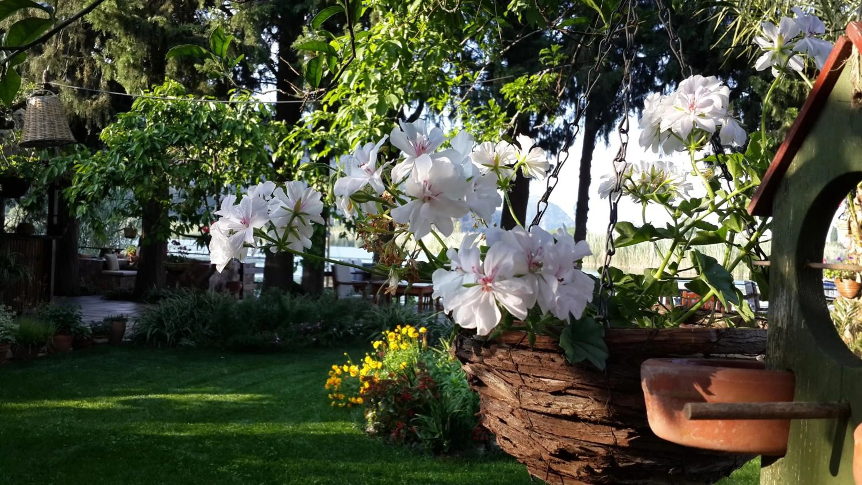Garden in Hotel Happy Caretta