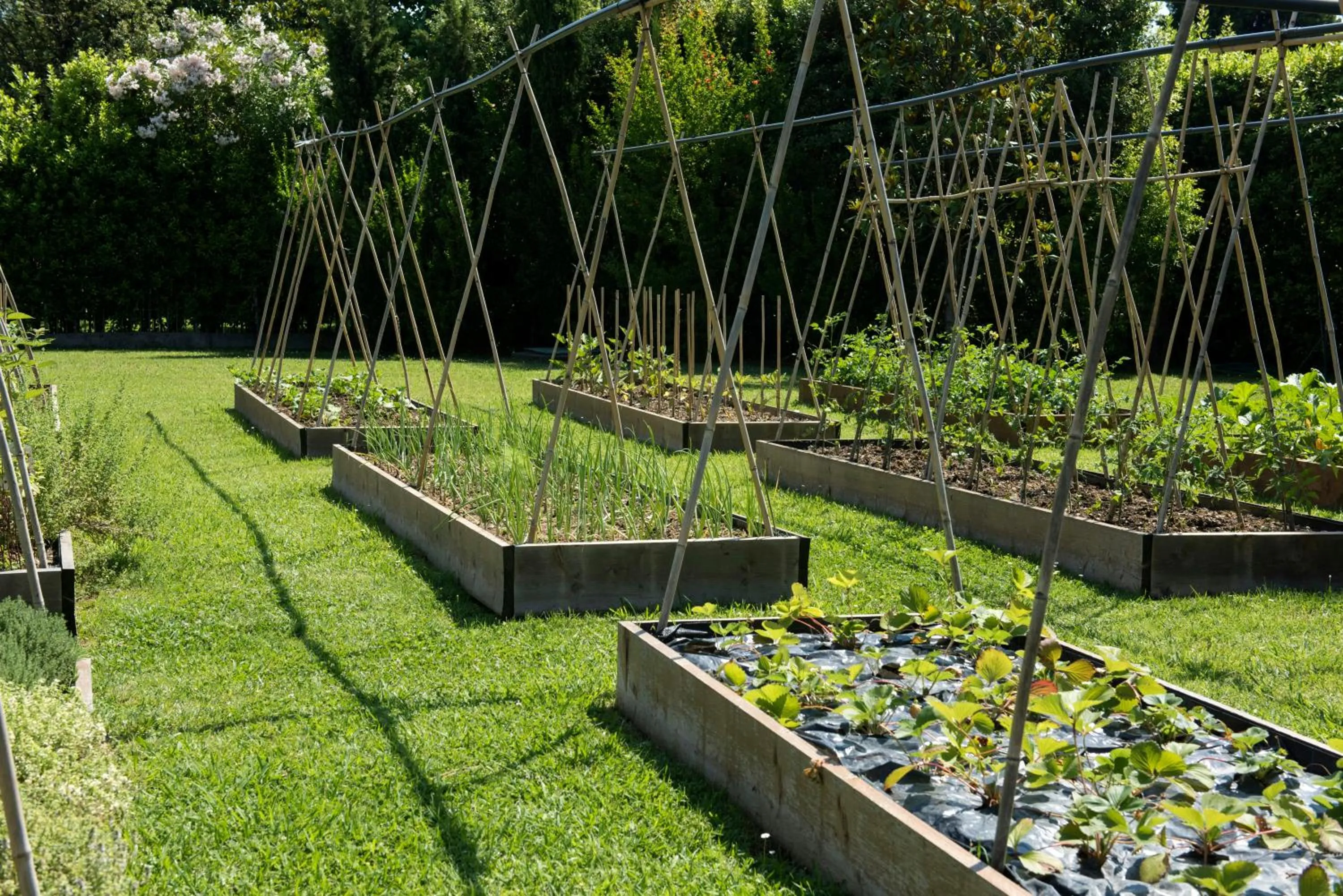 Garden in Hermitage Hotel & Resort Forte dei Marmi - Starhotels Collezione