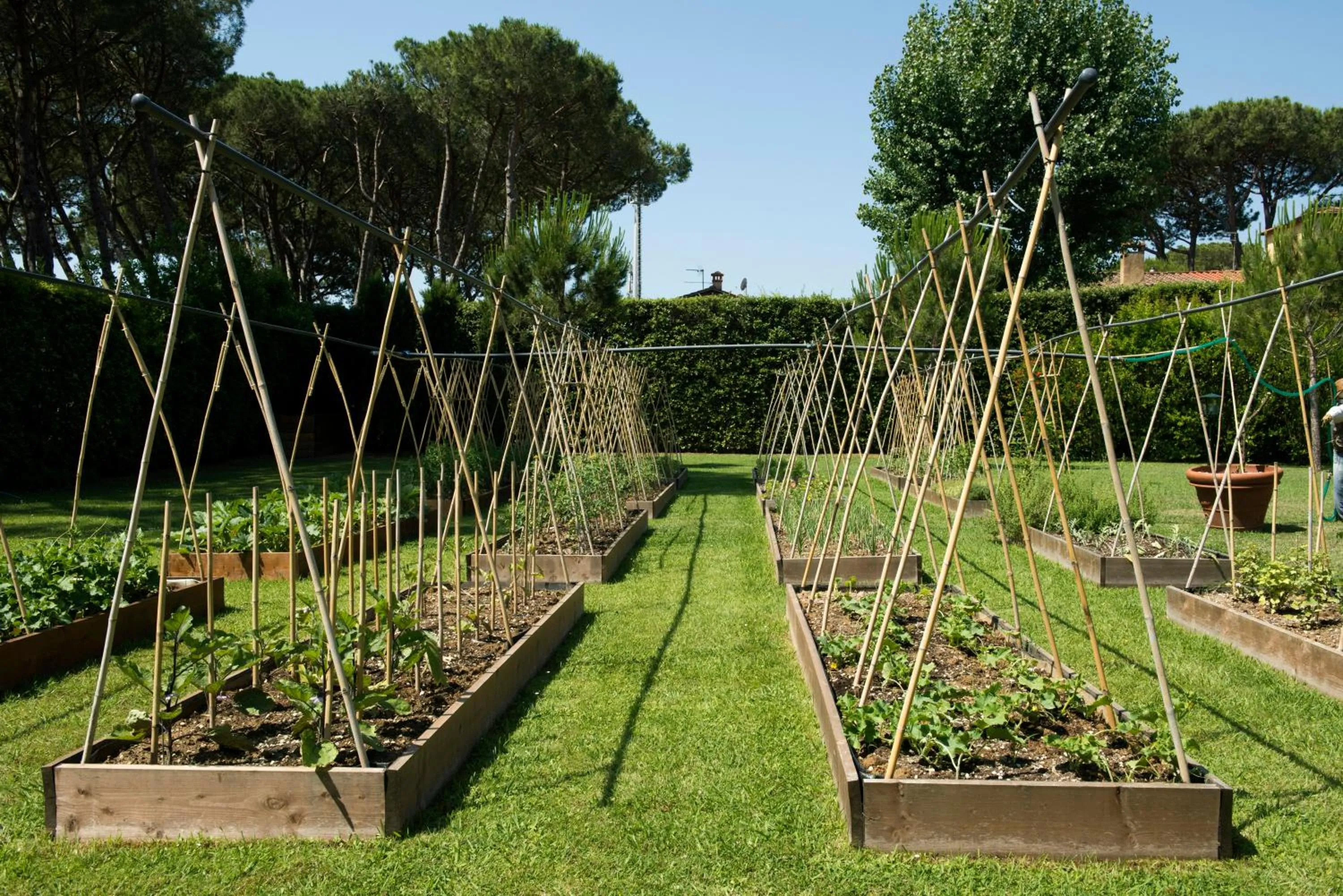 Garden in Hermitage Hotel & Resort Forte dei Marmi - Starhotels Collezione