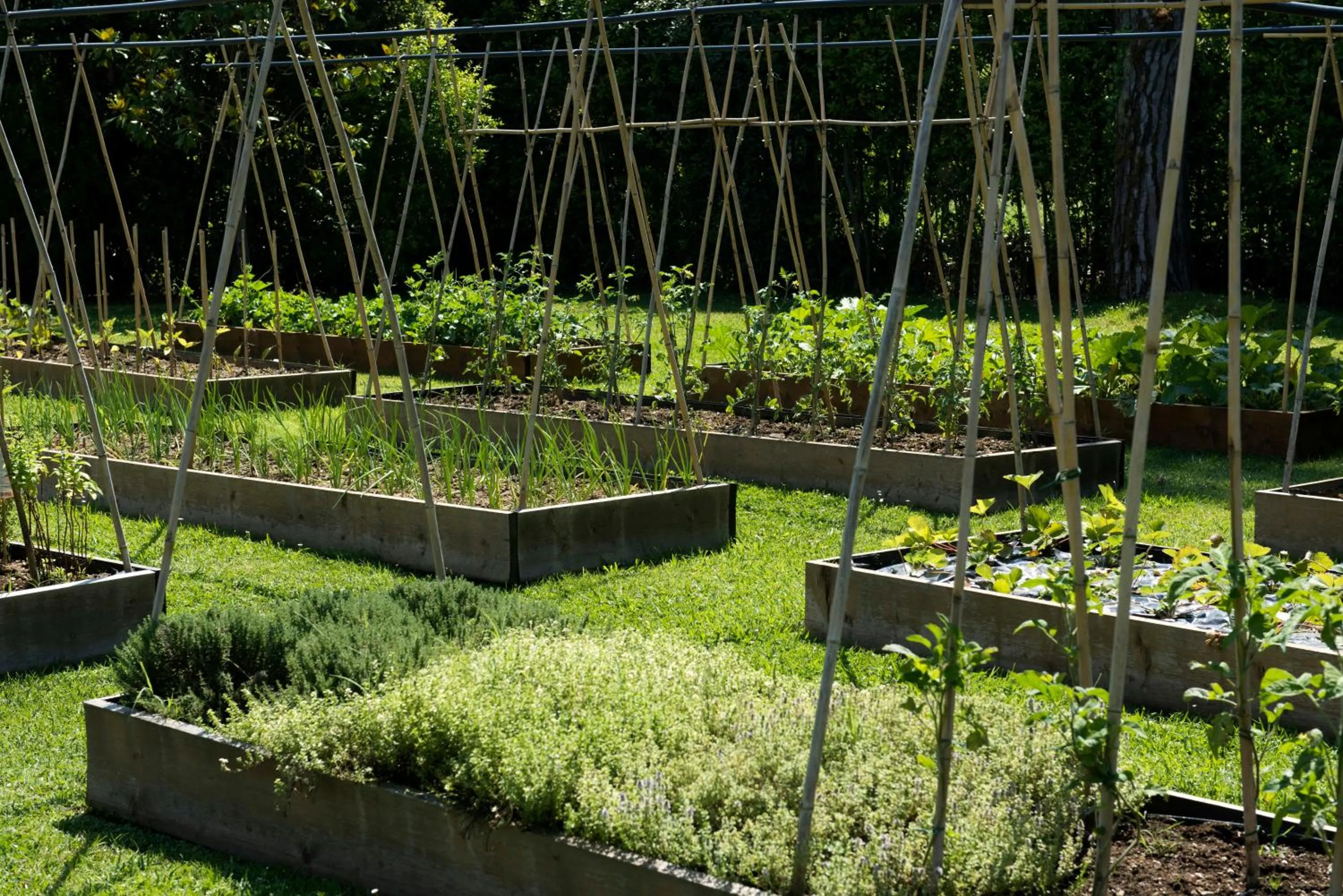 Garden in Hermitage Hotel & Resort Forte dei Marmi - Starhotels Collezione
