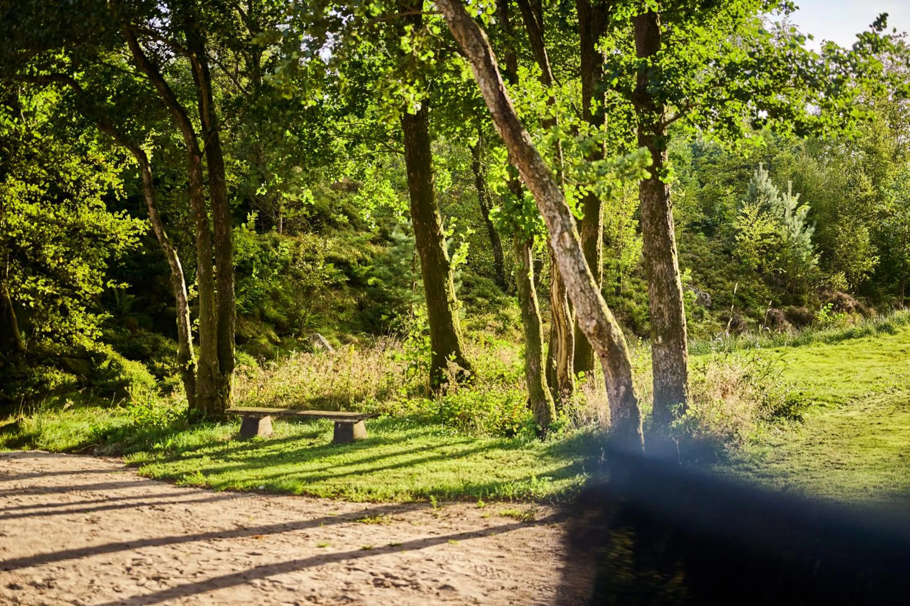 Natural landscape in Farsund Resort