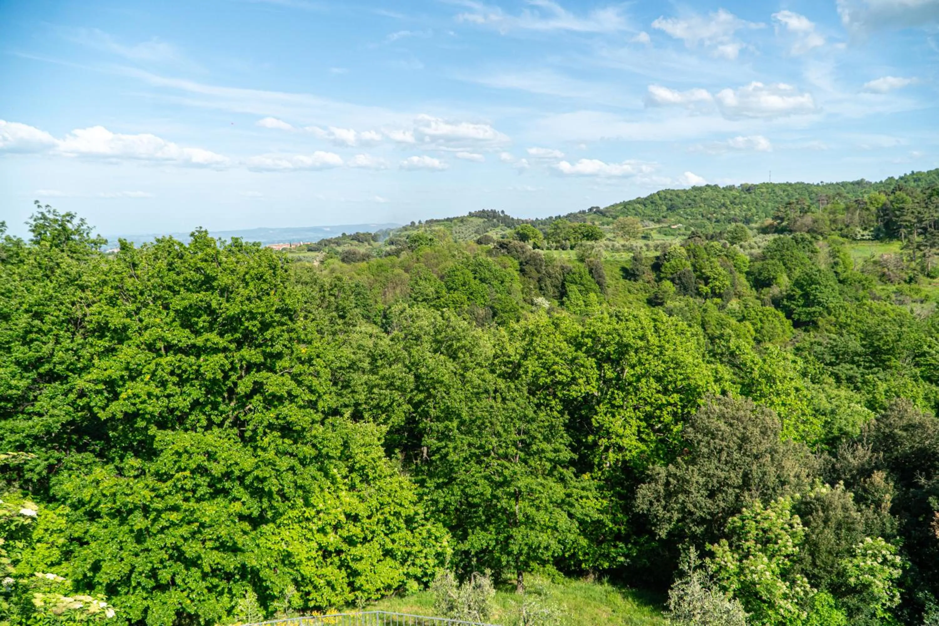 Natural landscape in Piccozzo agritour