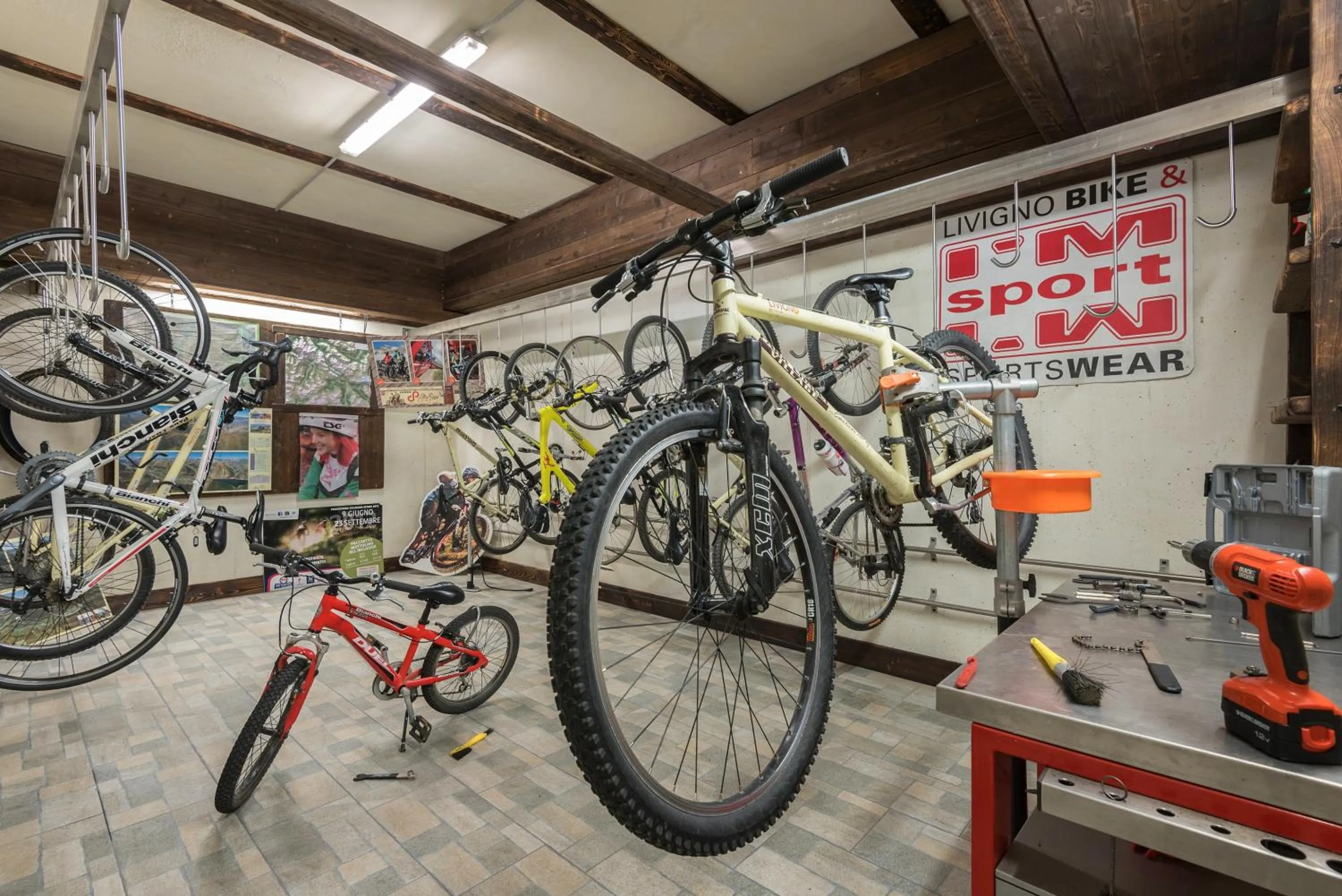 Cycling in Park Chalet Village