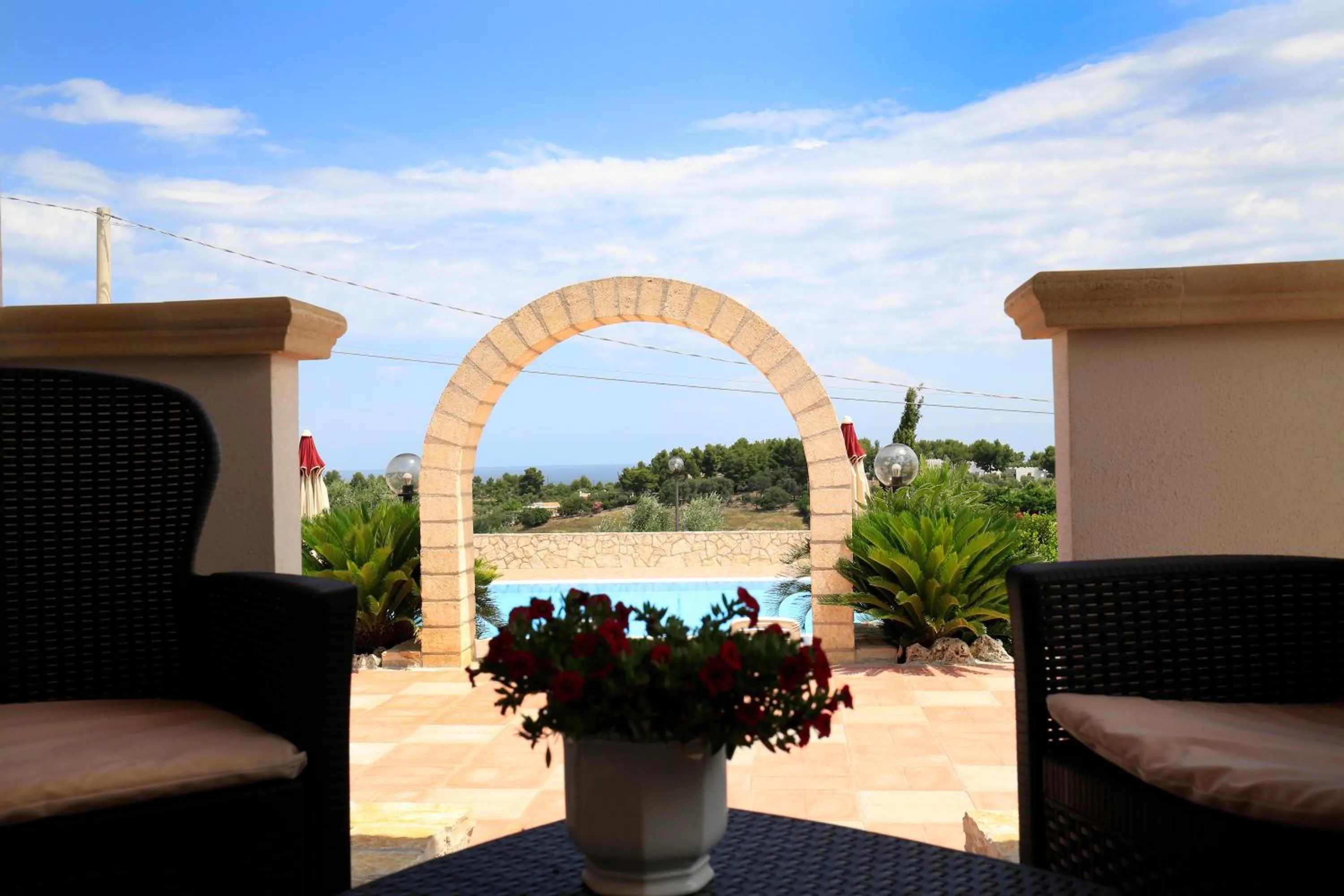 Swimming pool in B&B Hibiscus