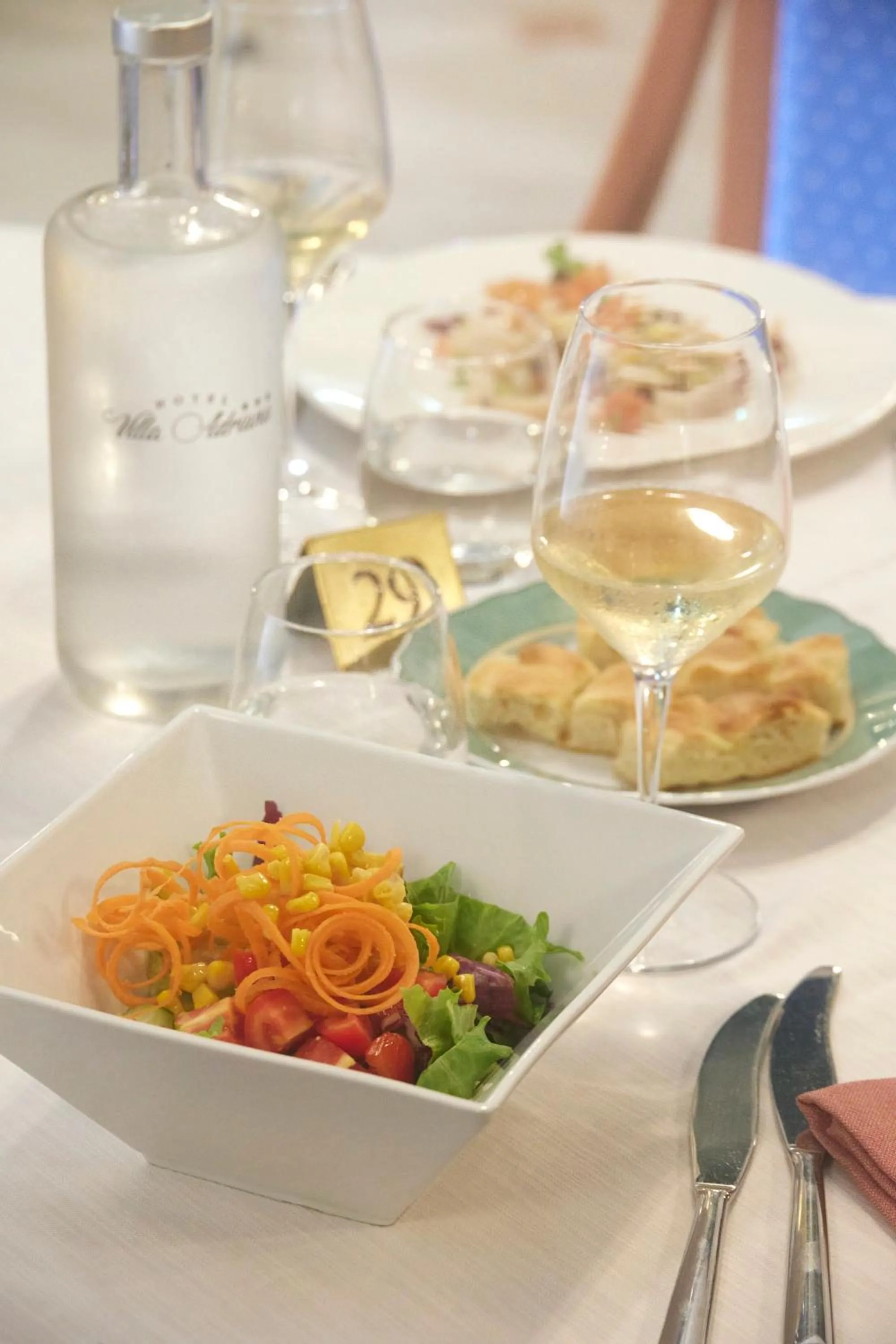 Dinner in Hotel Villa Adriana