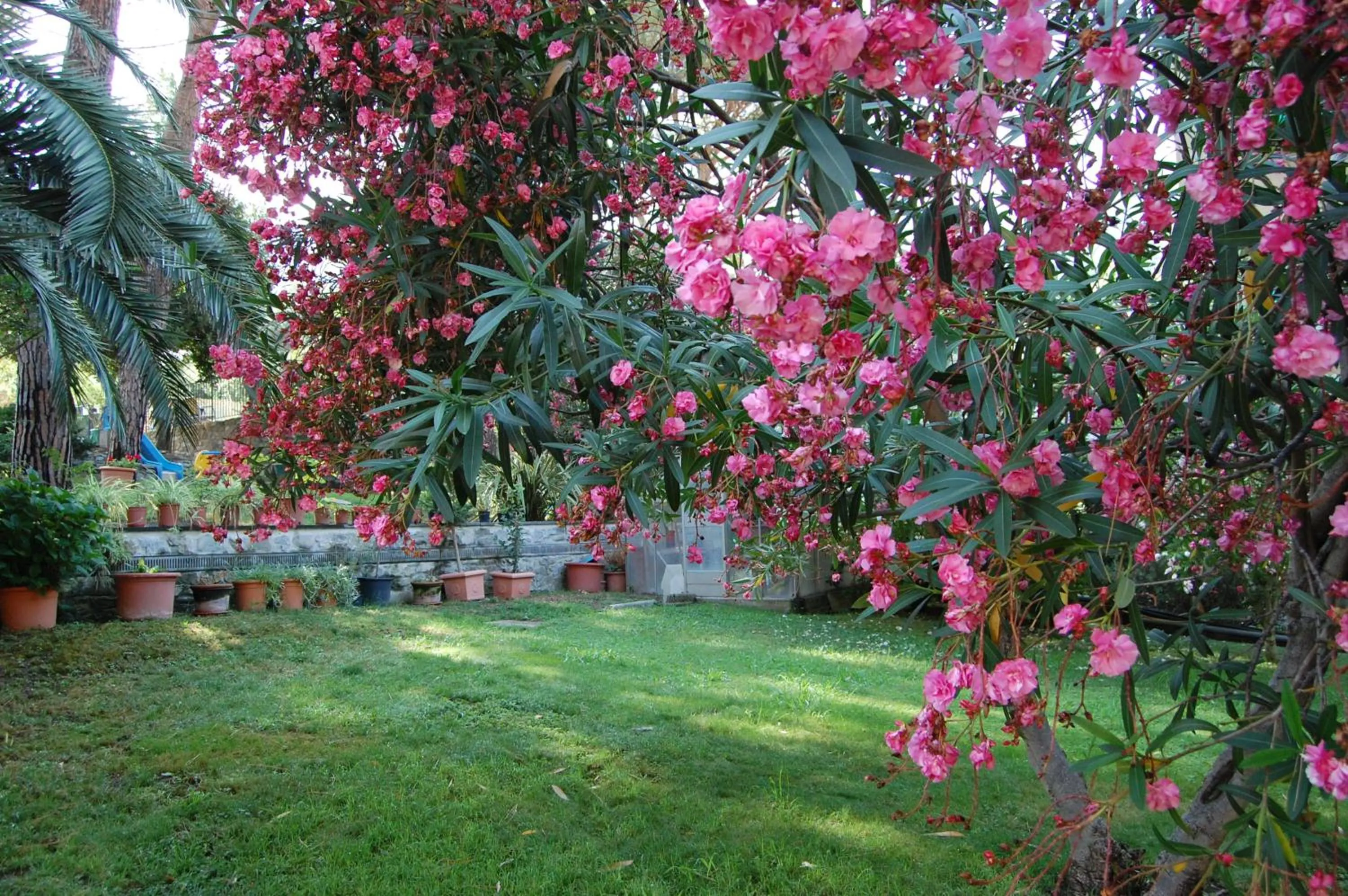 Garden in Hotel Villa Adriana