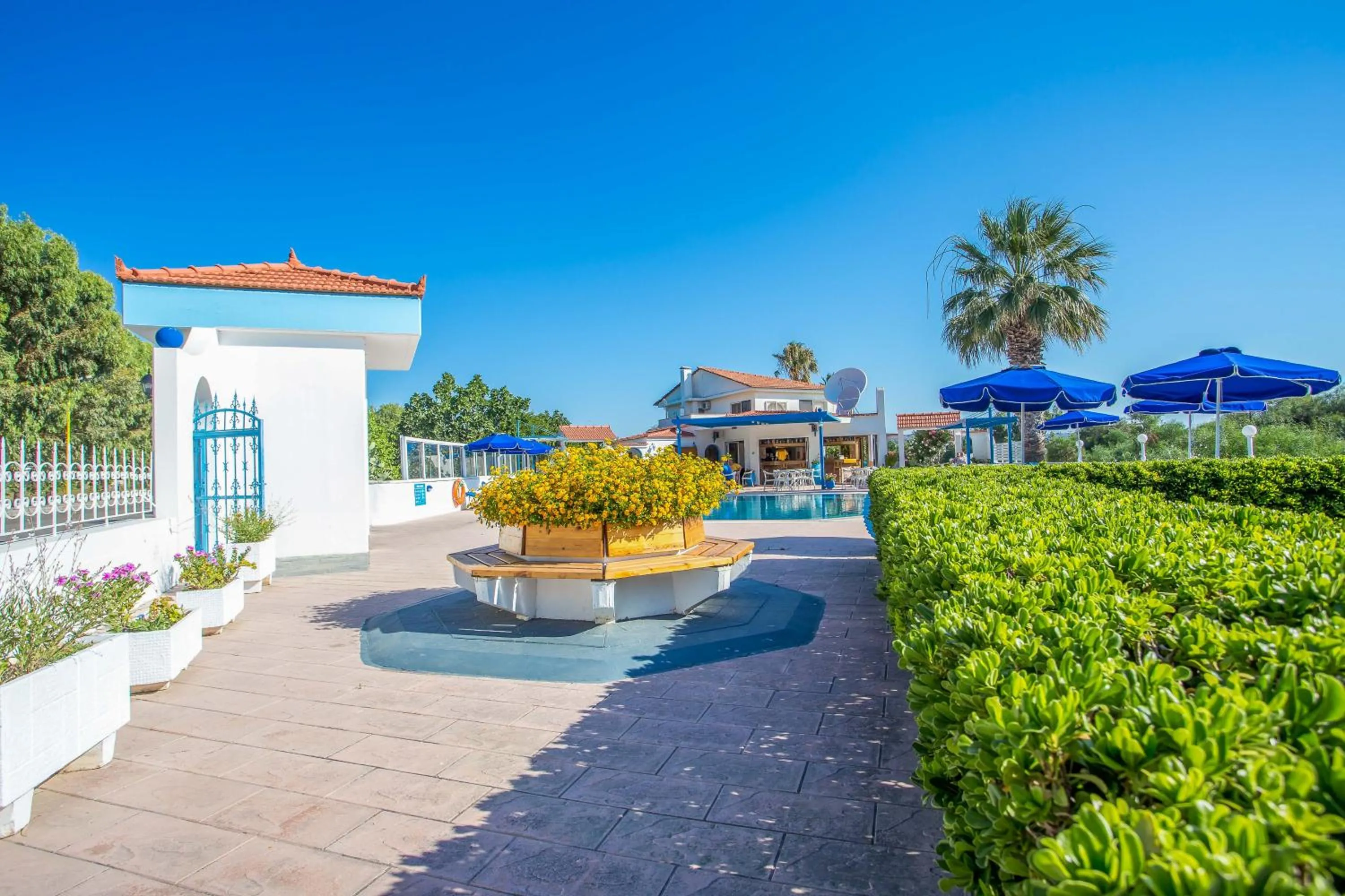 Garden in Muses Hotel