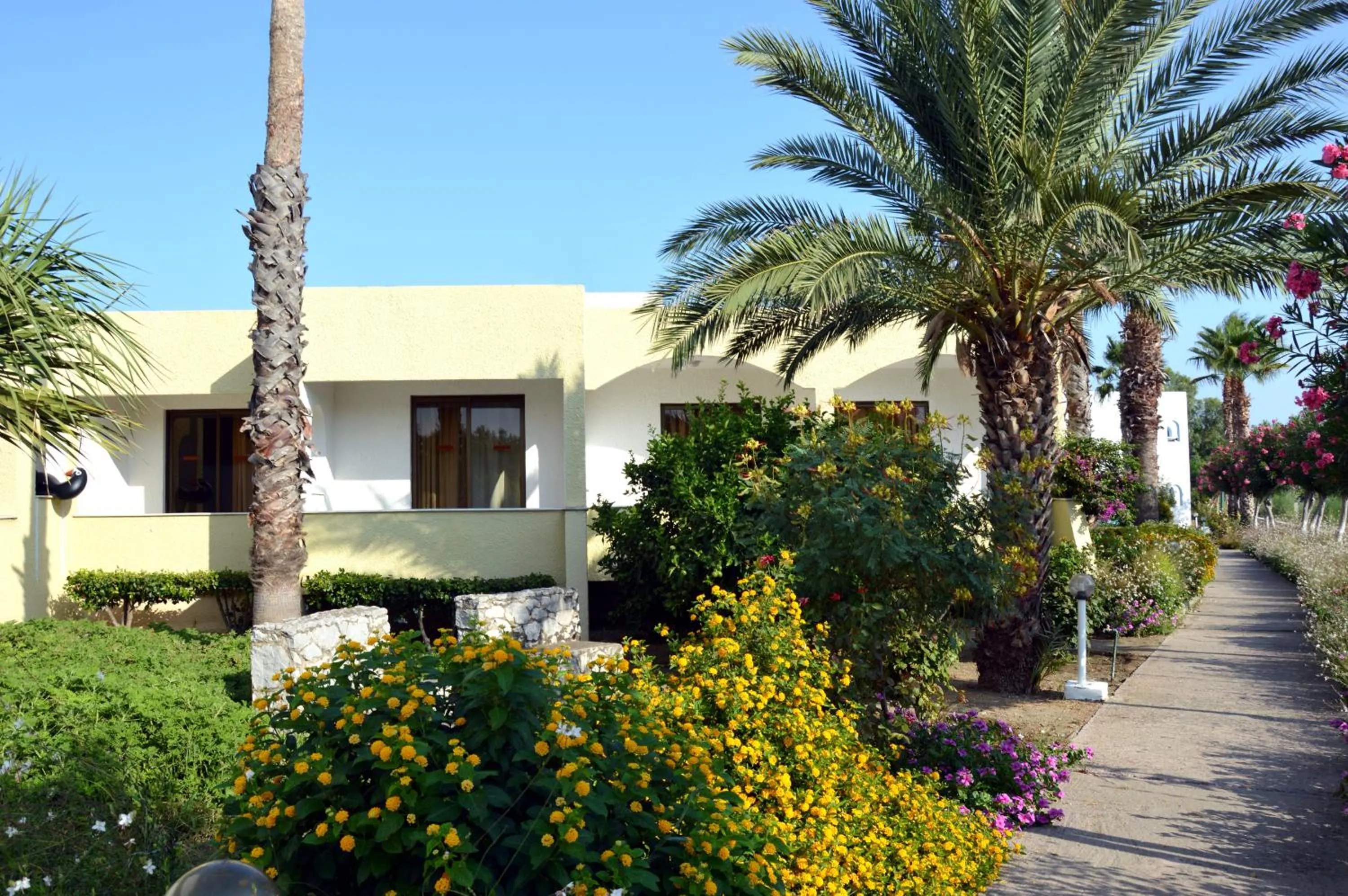 View (from property/room) in Muses Hotel