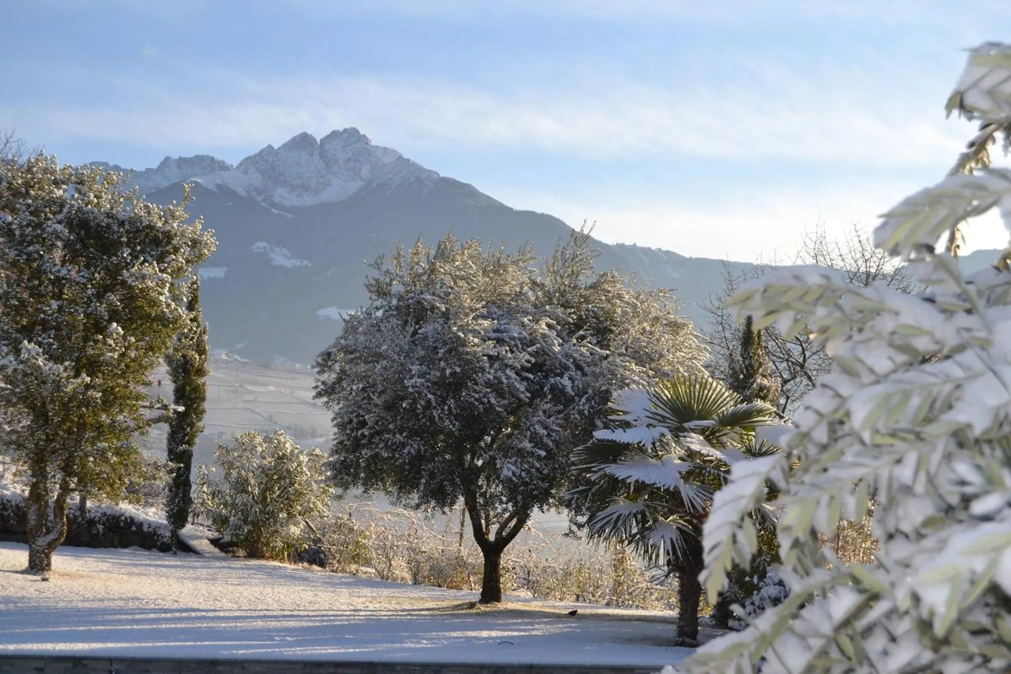 Winter in Alagundis Apartment Residence