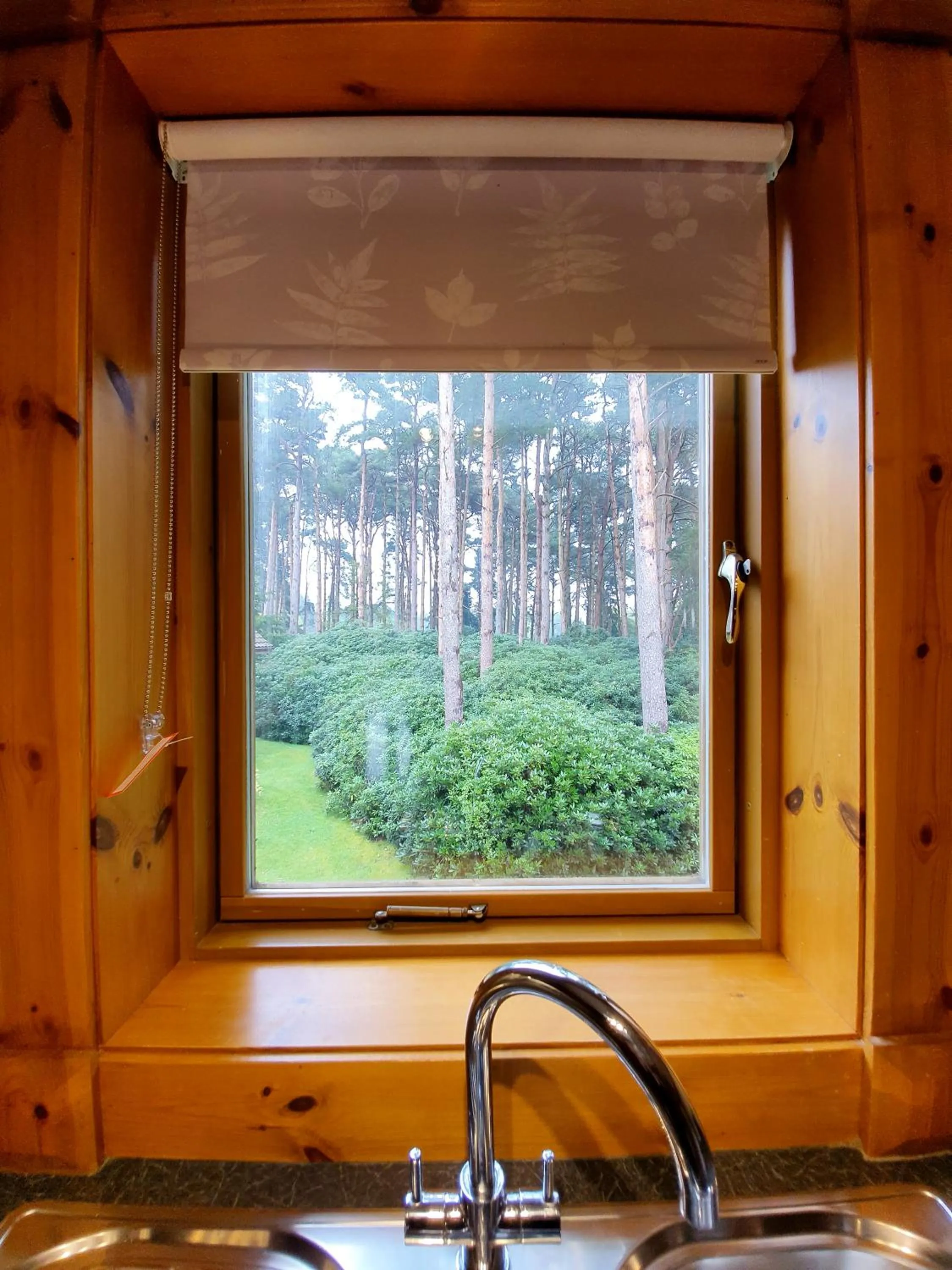 Garden view in The Dorset Resort