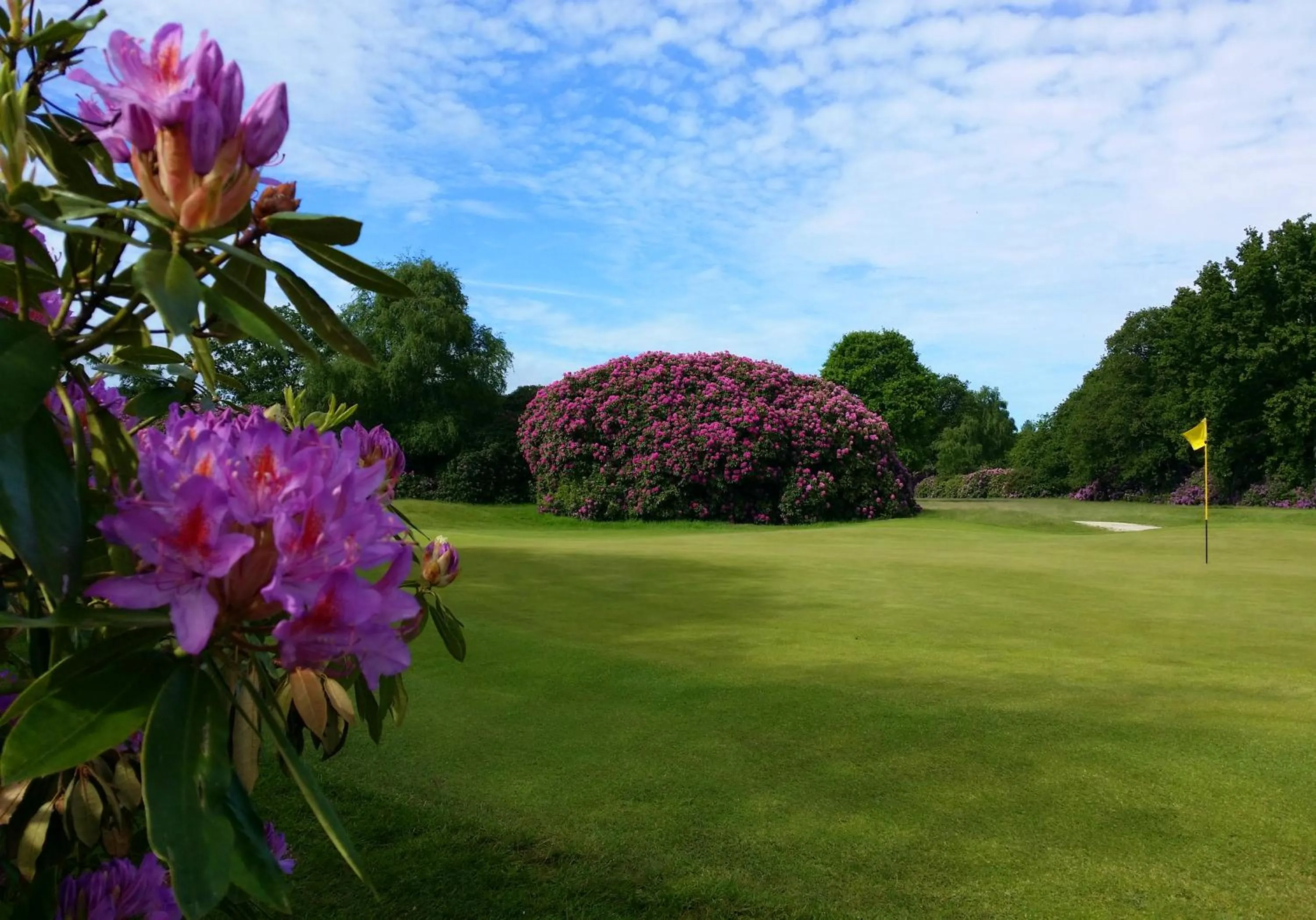 Golfcourse in The Dorset Resort