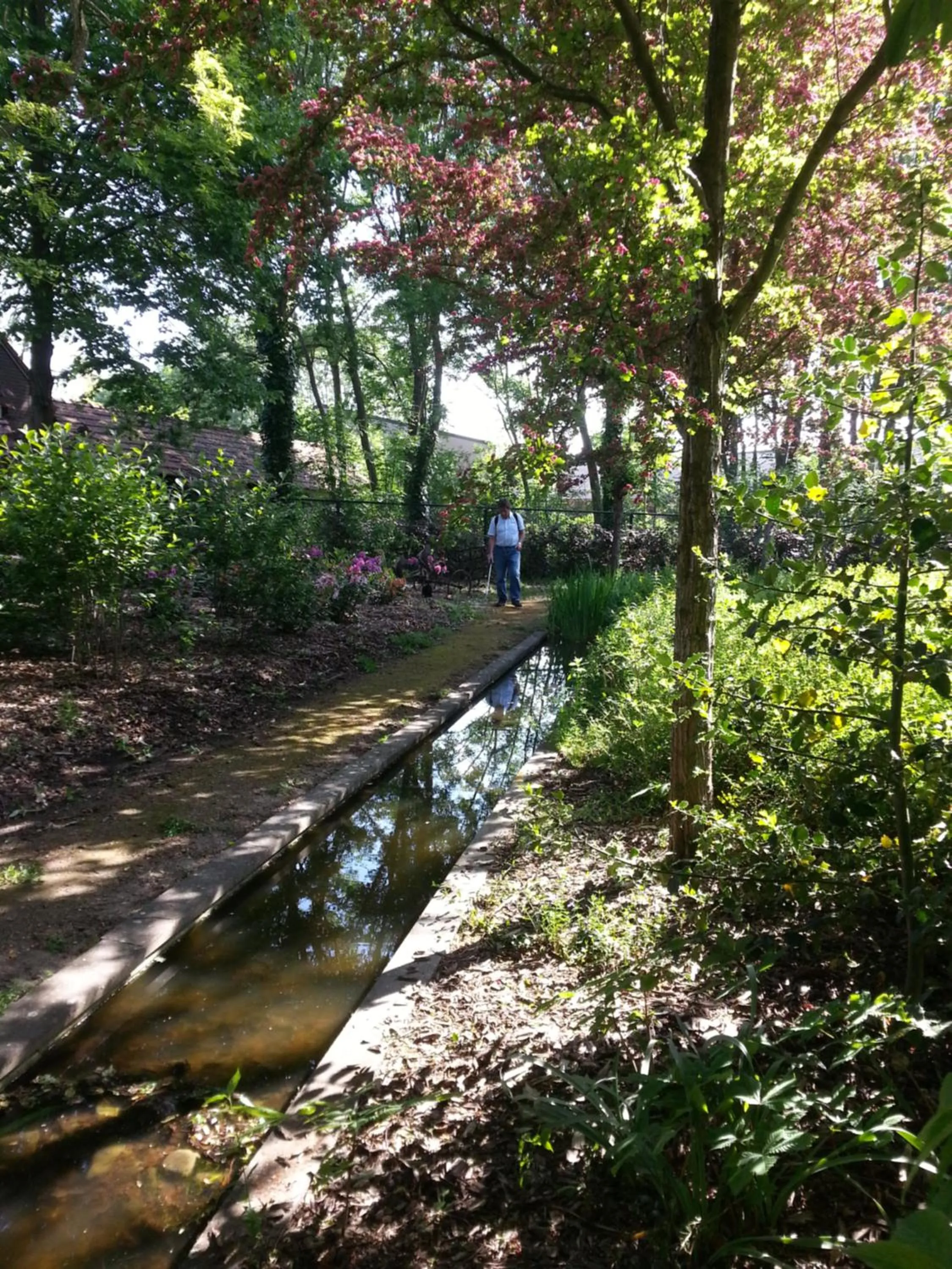 Garden in Hotel Lemmenhof