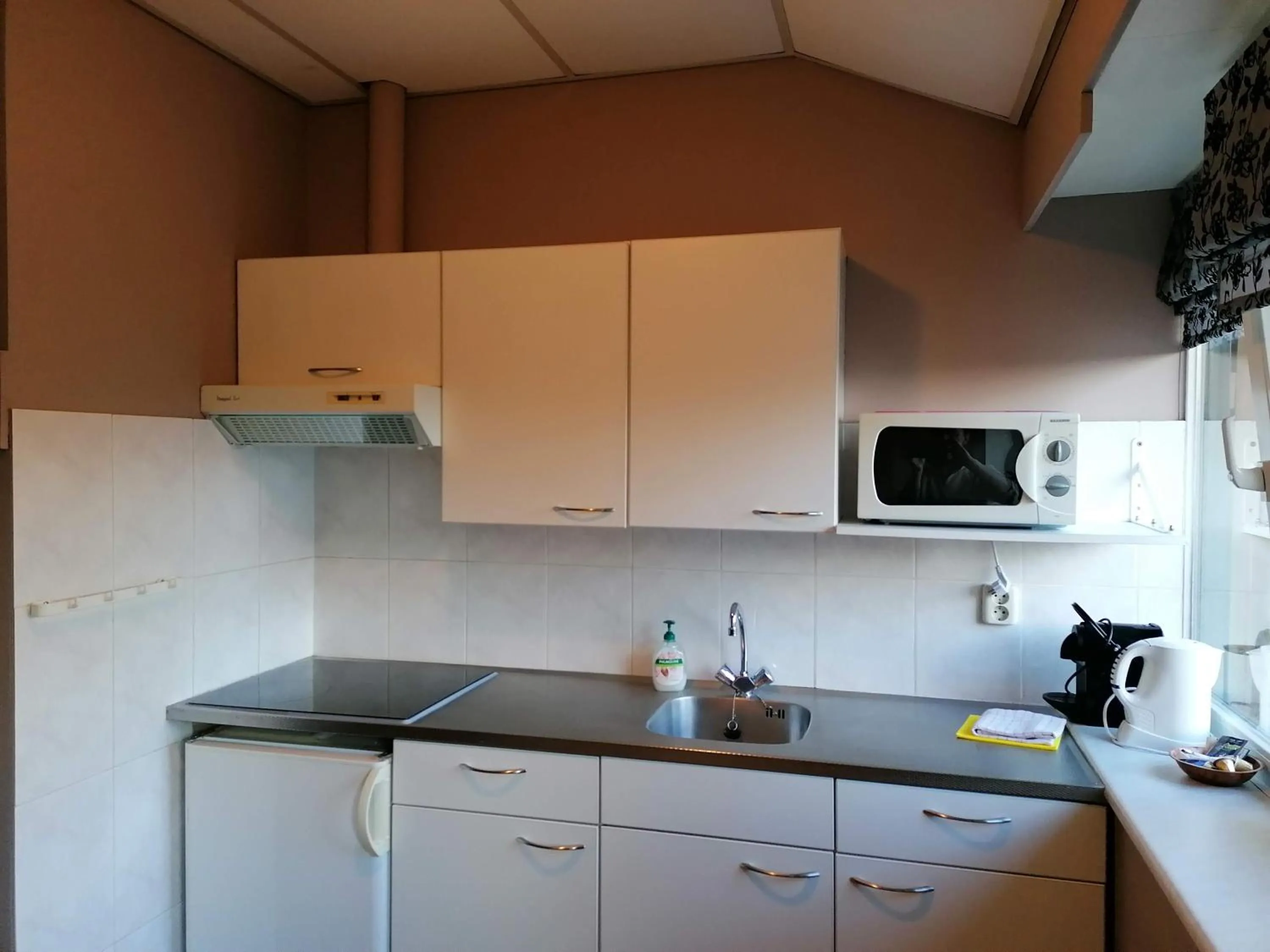 Kitchen or kitchenette in Hotel Lemmenhof