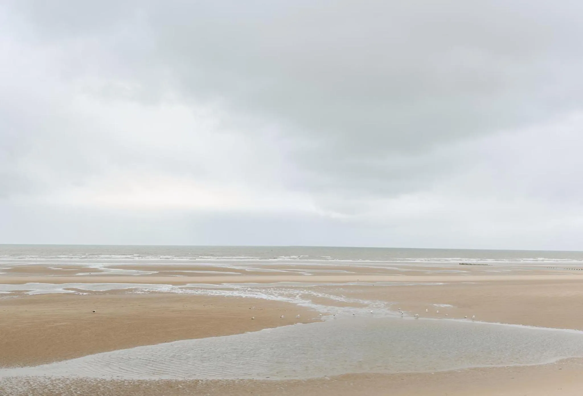 Beach in The Chimes on the Sea