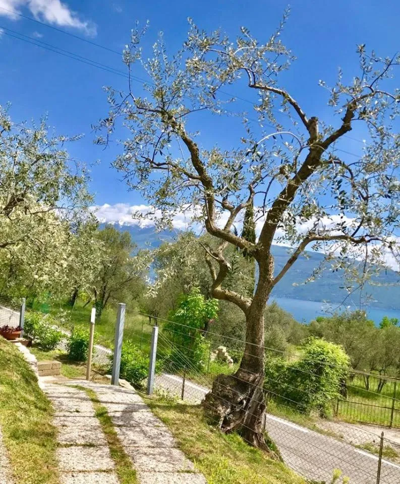 Caselli Vigole al Sole