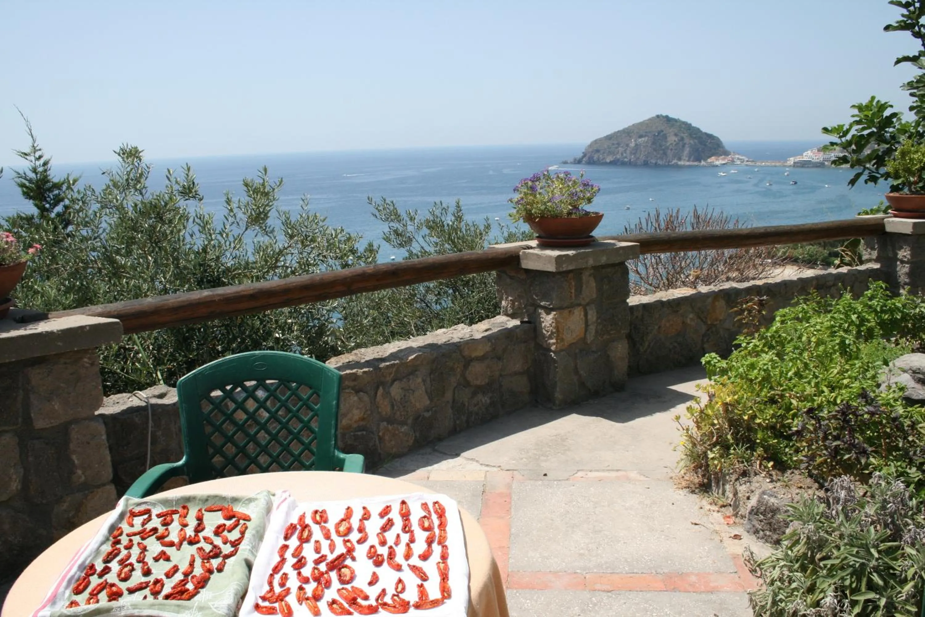 View (from property/room) in Casa Antonio