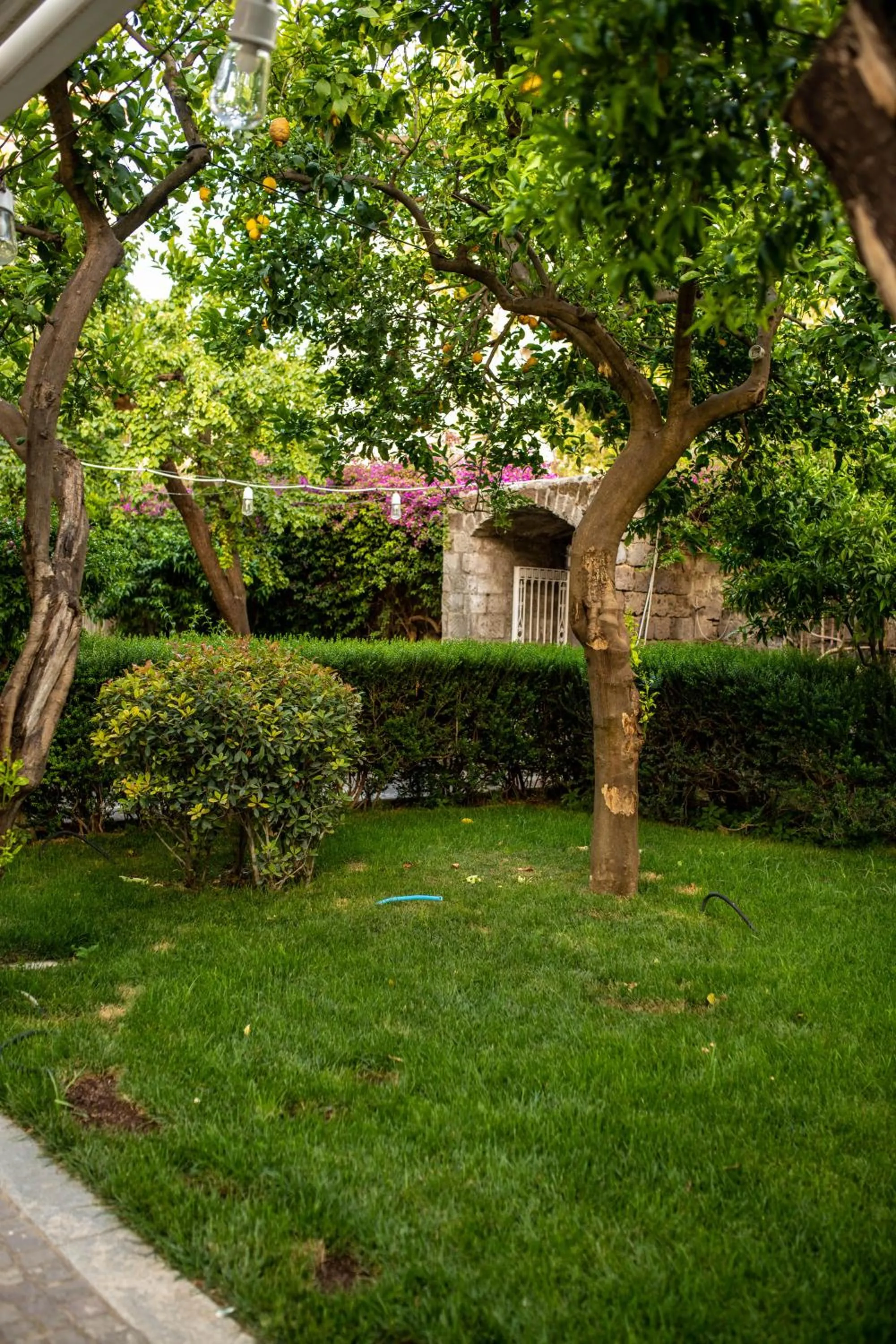 Garden in Artis Domus Relais & Spa