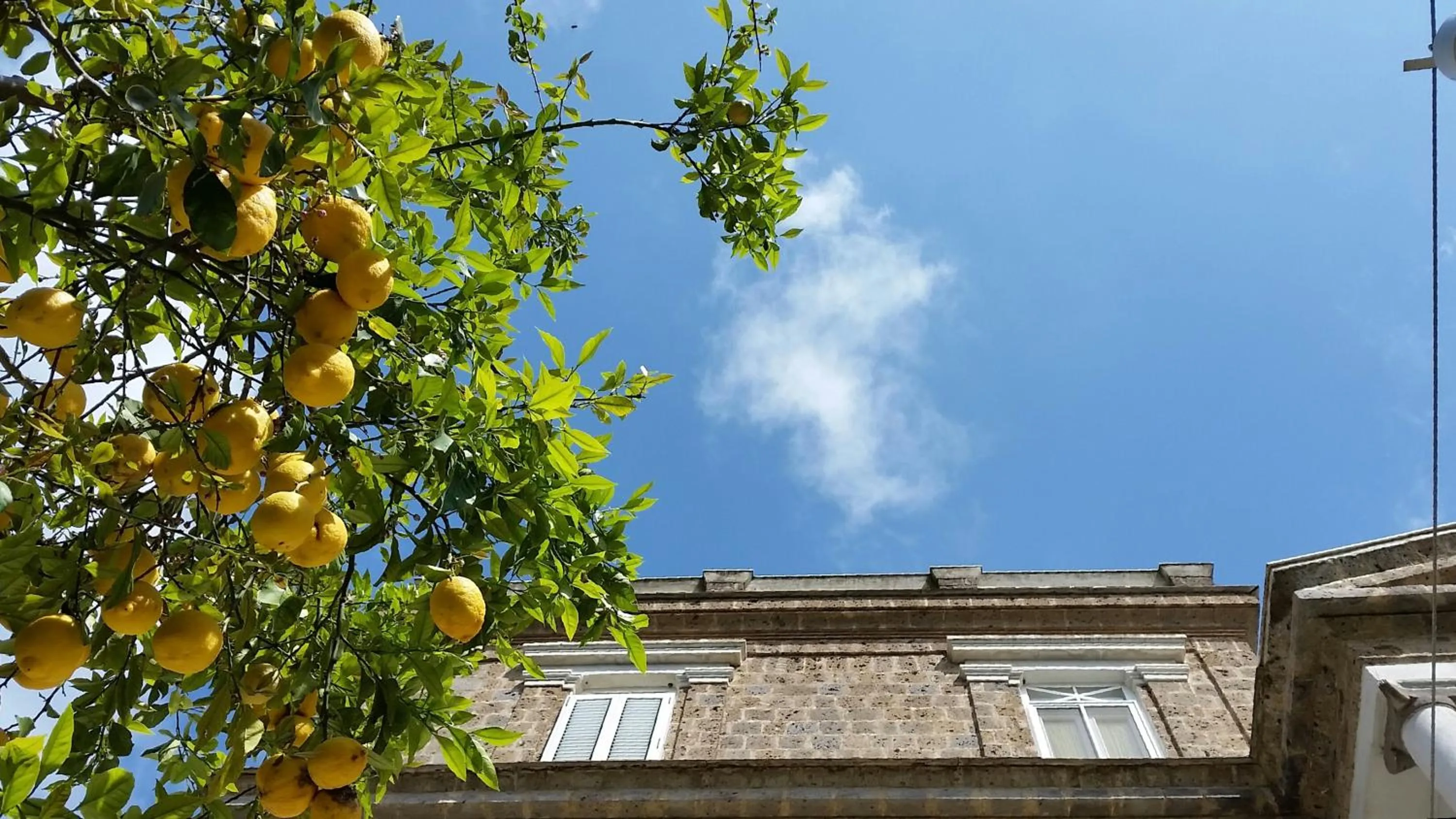 Facade/entrance in Artis Domus Relais & Spa