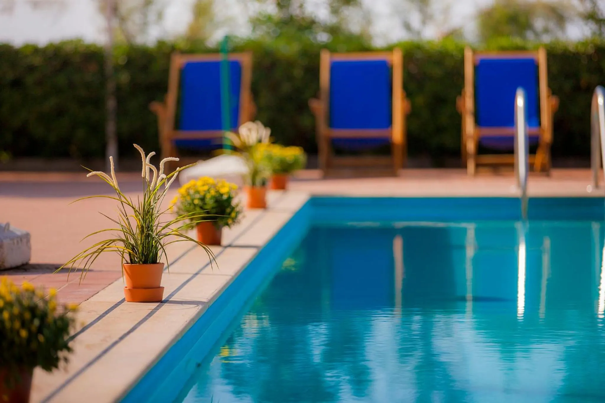 Swimming pool in Hotel Pocho