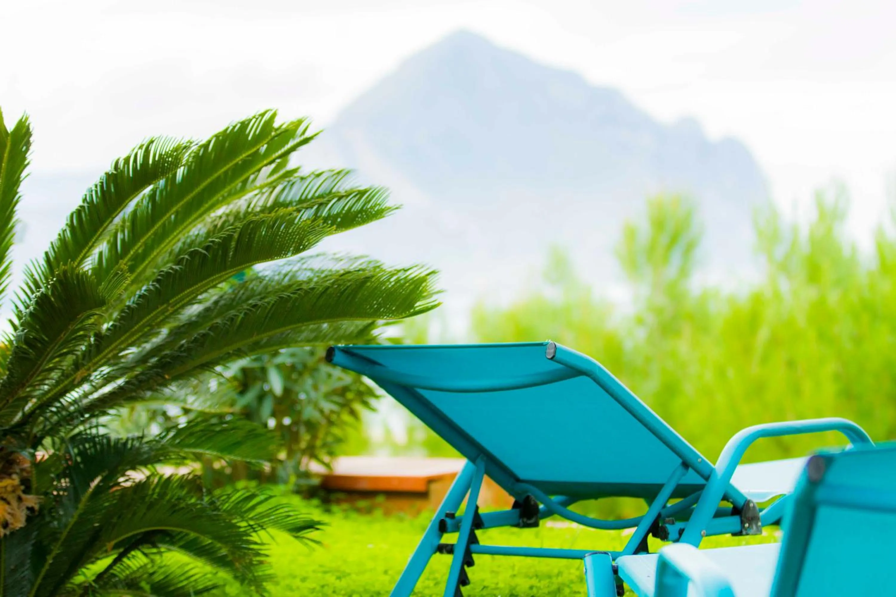 Garden in Hotel Pocho