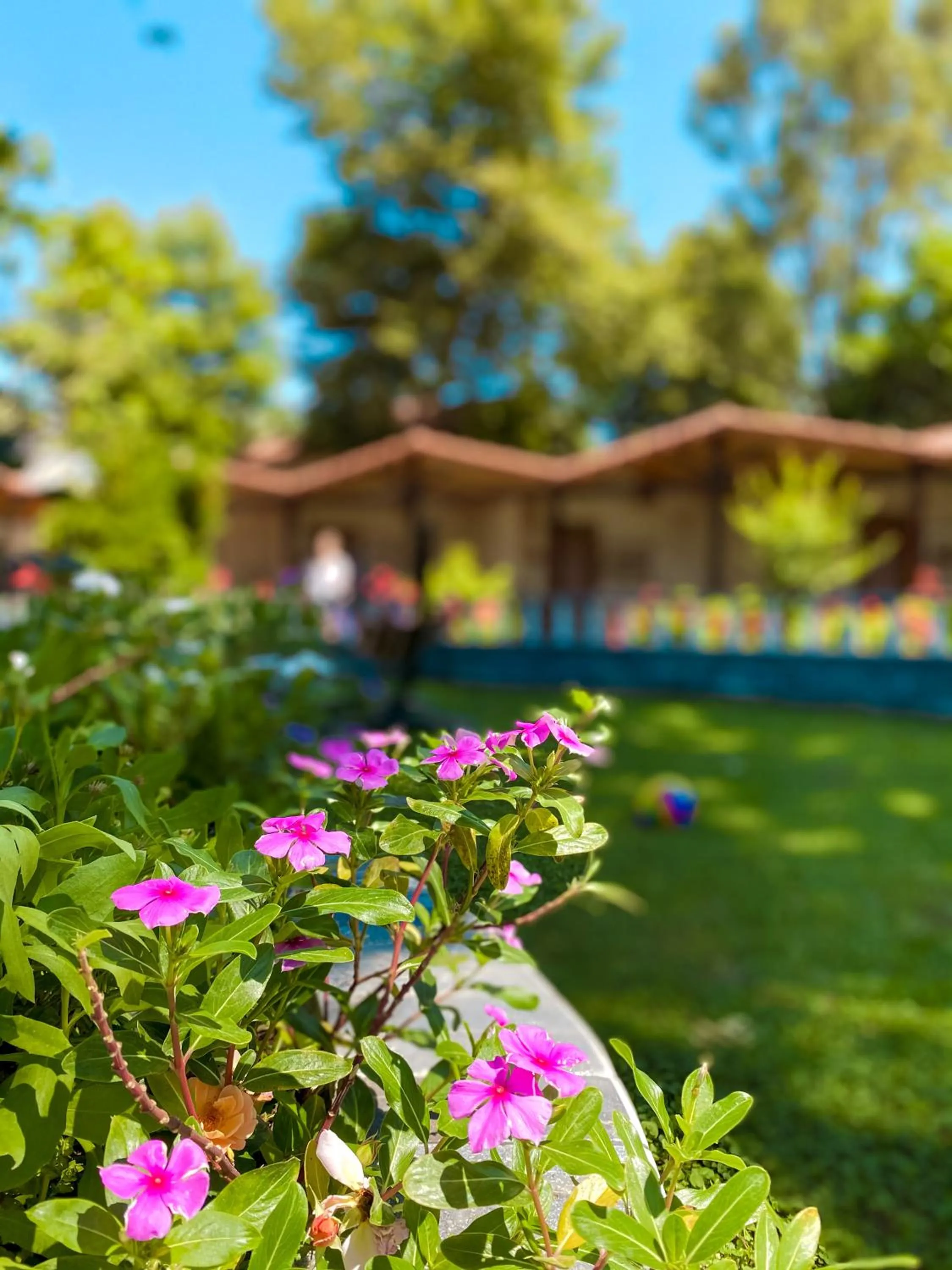 Garden in Likya Adrasan