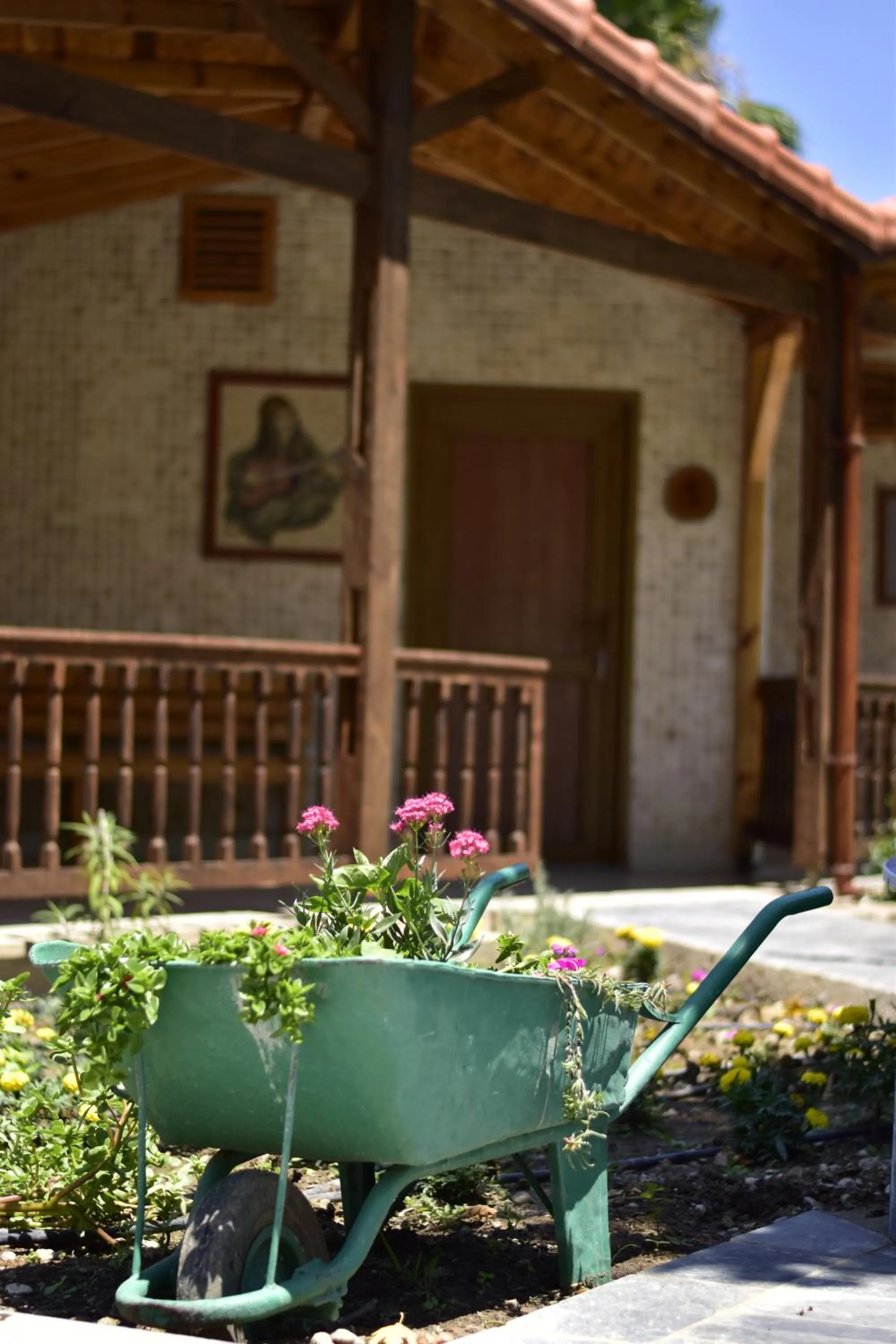 Garden in Likya Adrasan