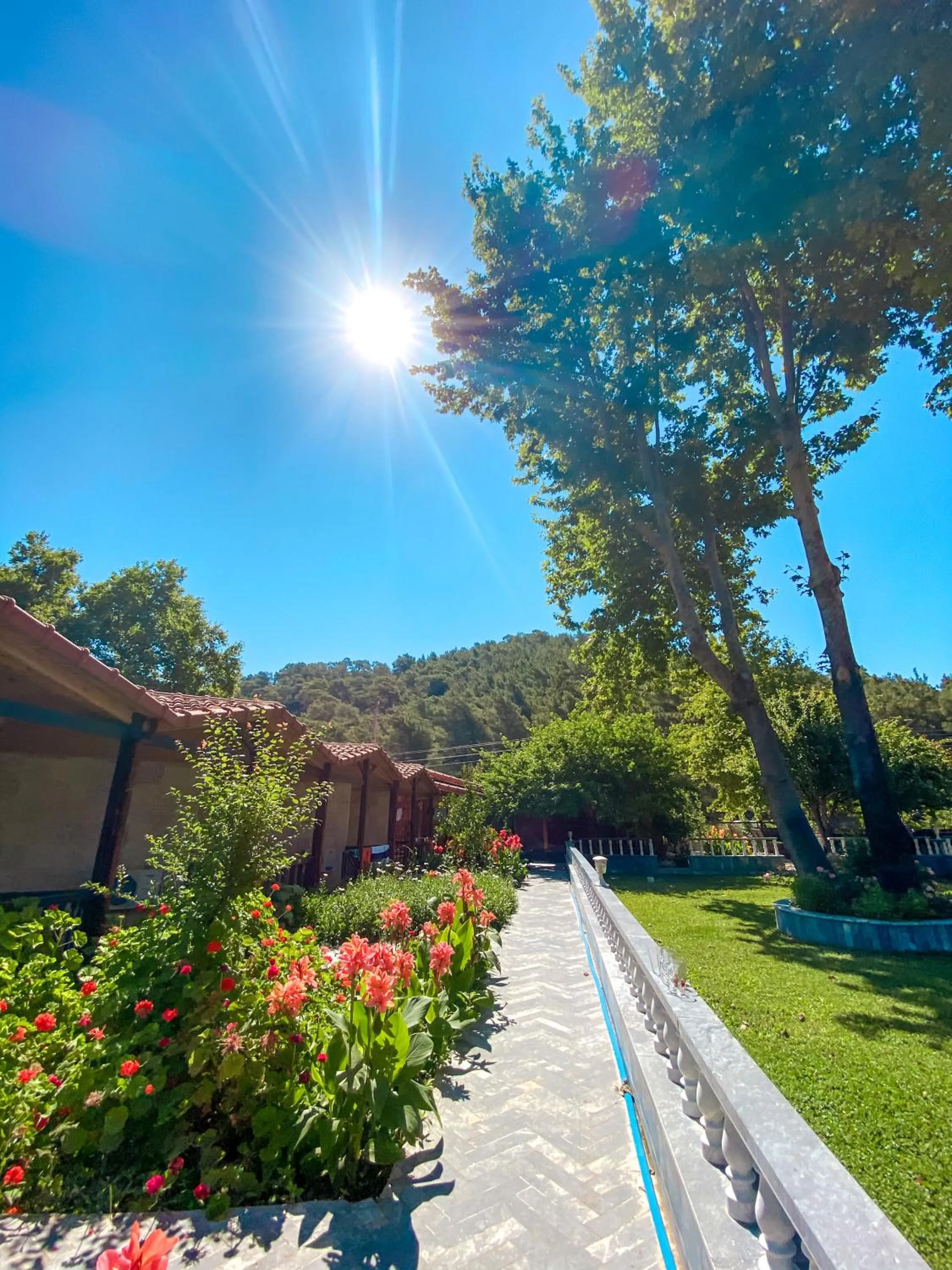 Garden in Likya Adrasan