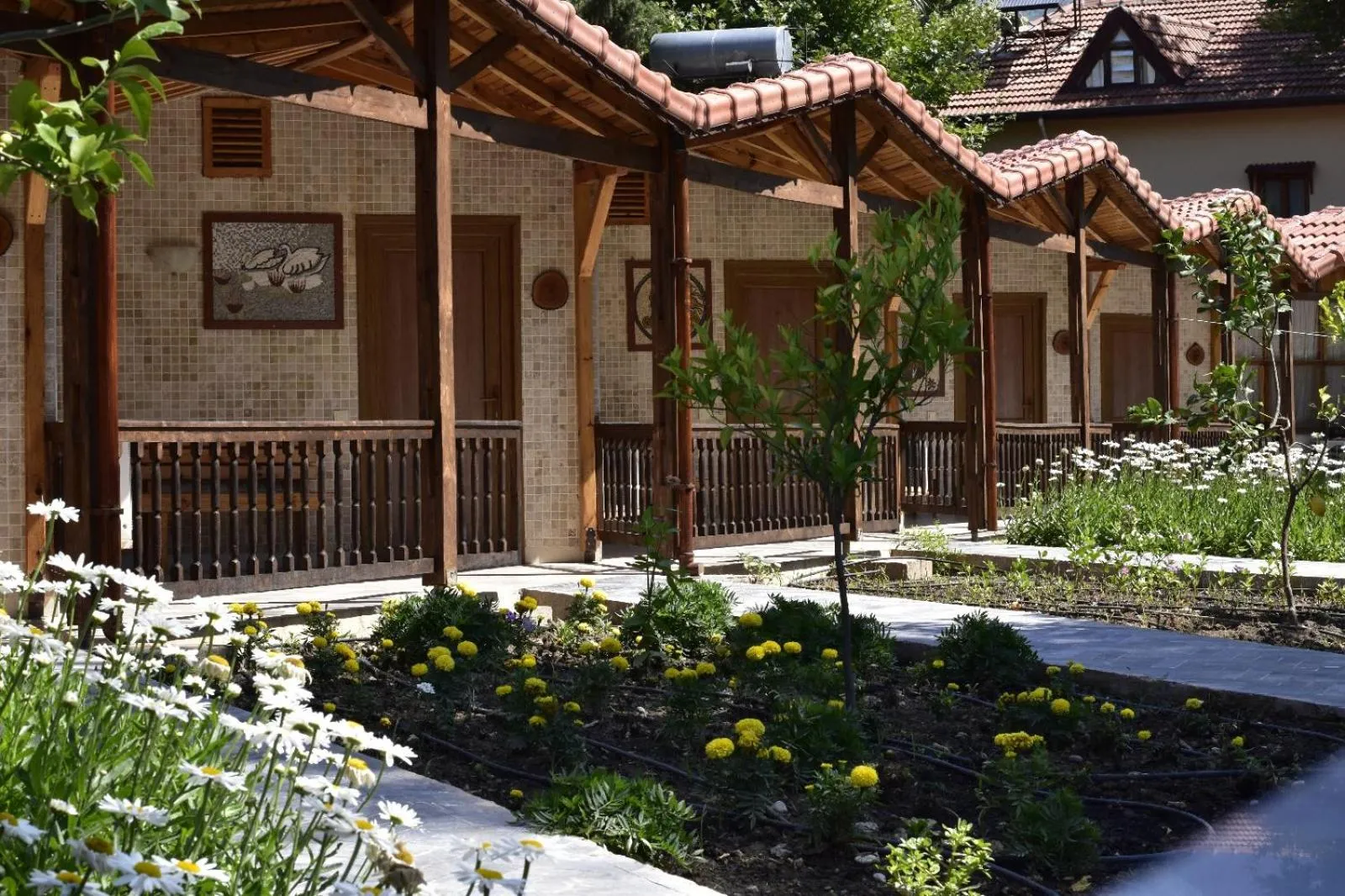 Garden in Likya Adrasan