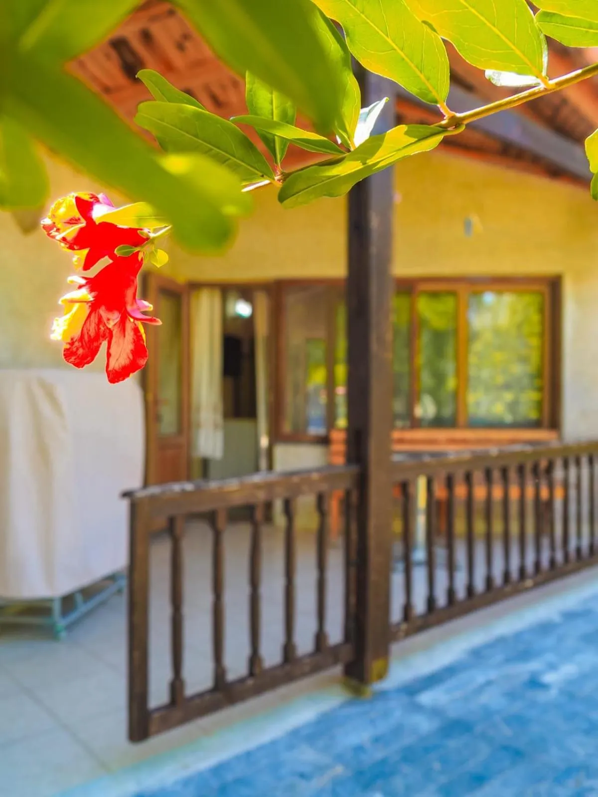 View (from property/room) in Likya Adrasan