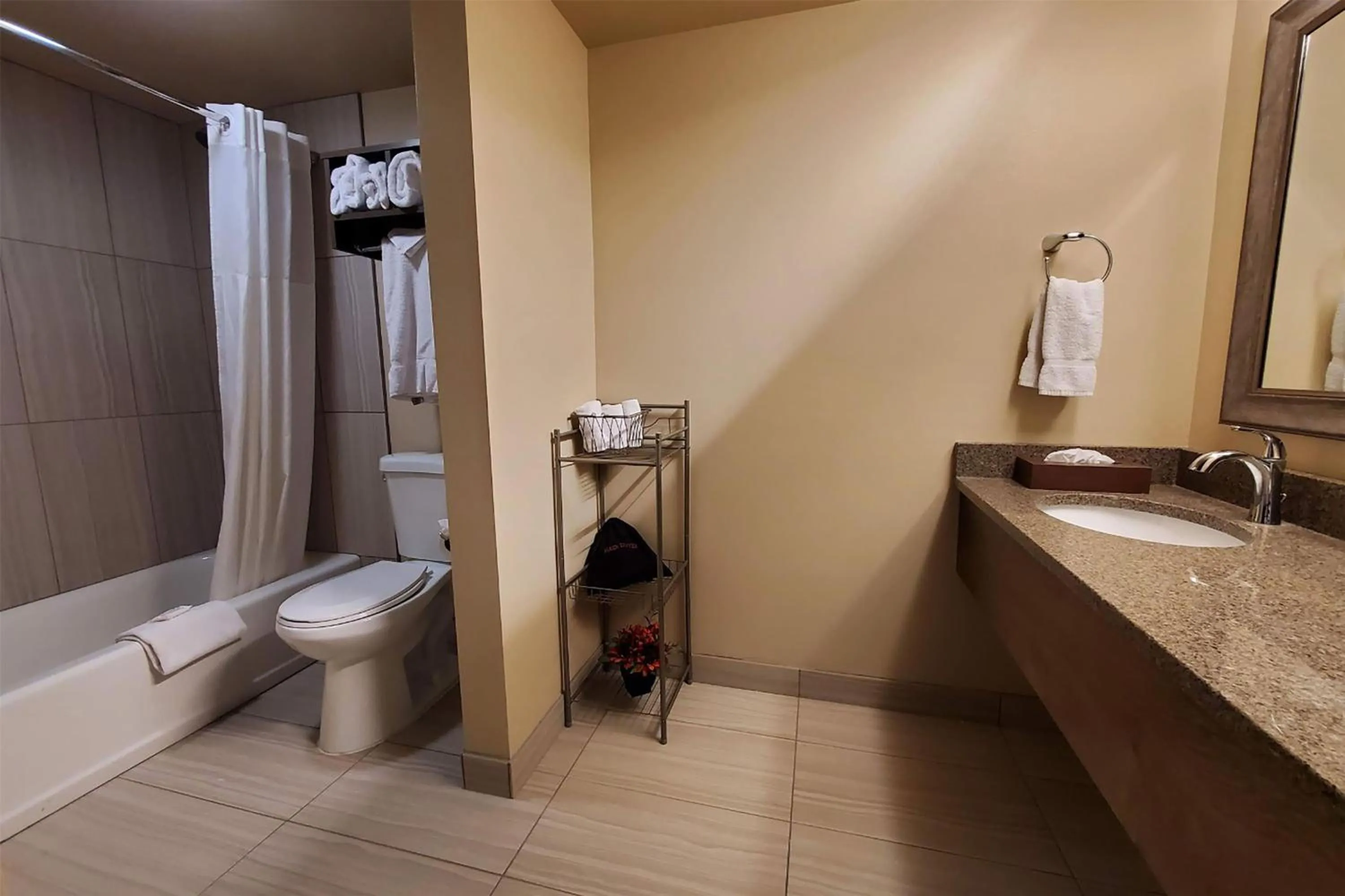 Bathroom in AmericInn by Wyndham Watertown