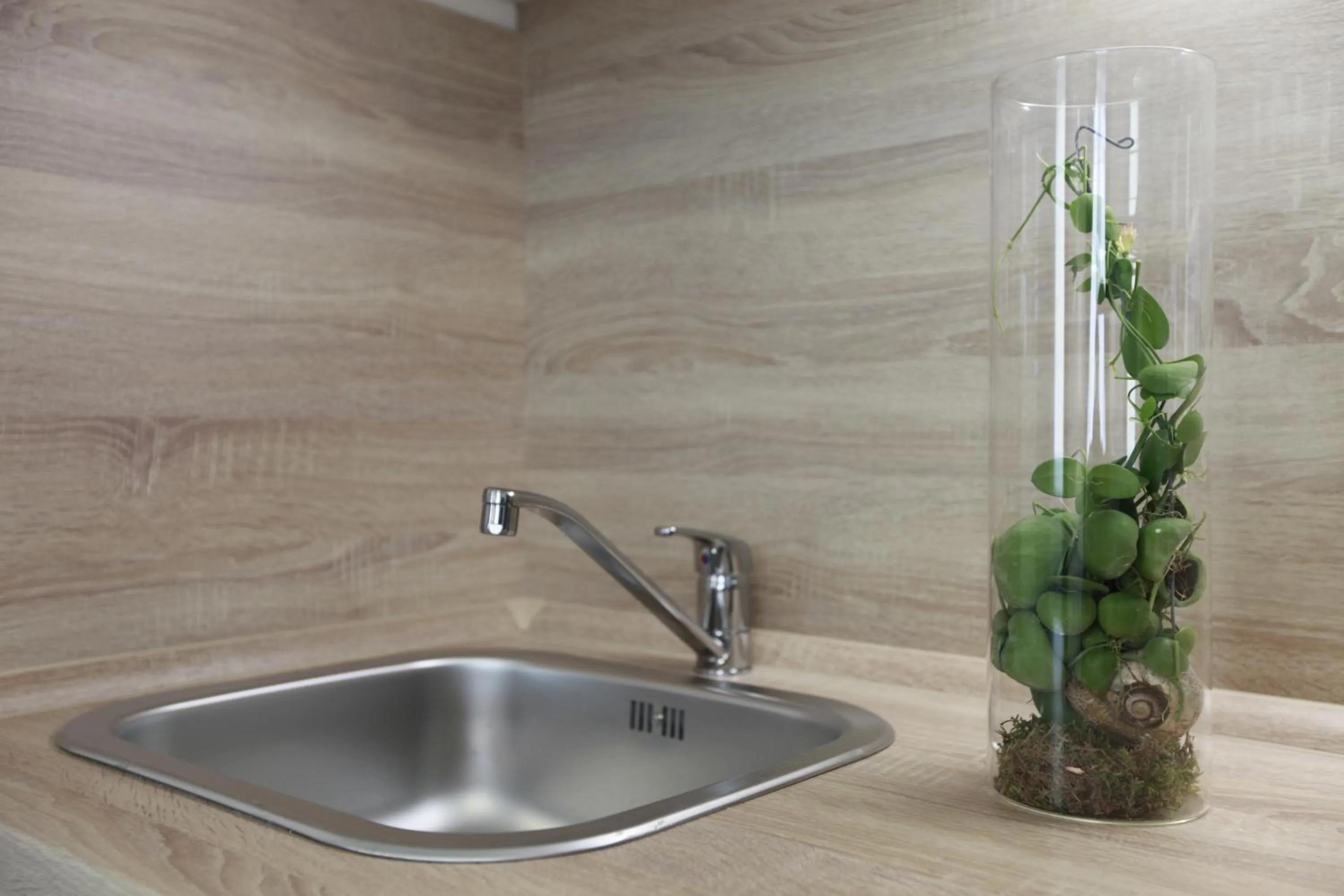 Kitchen or kitchenette in City Center Best Place Apartments