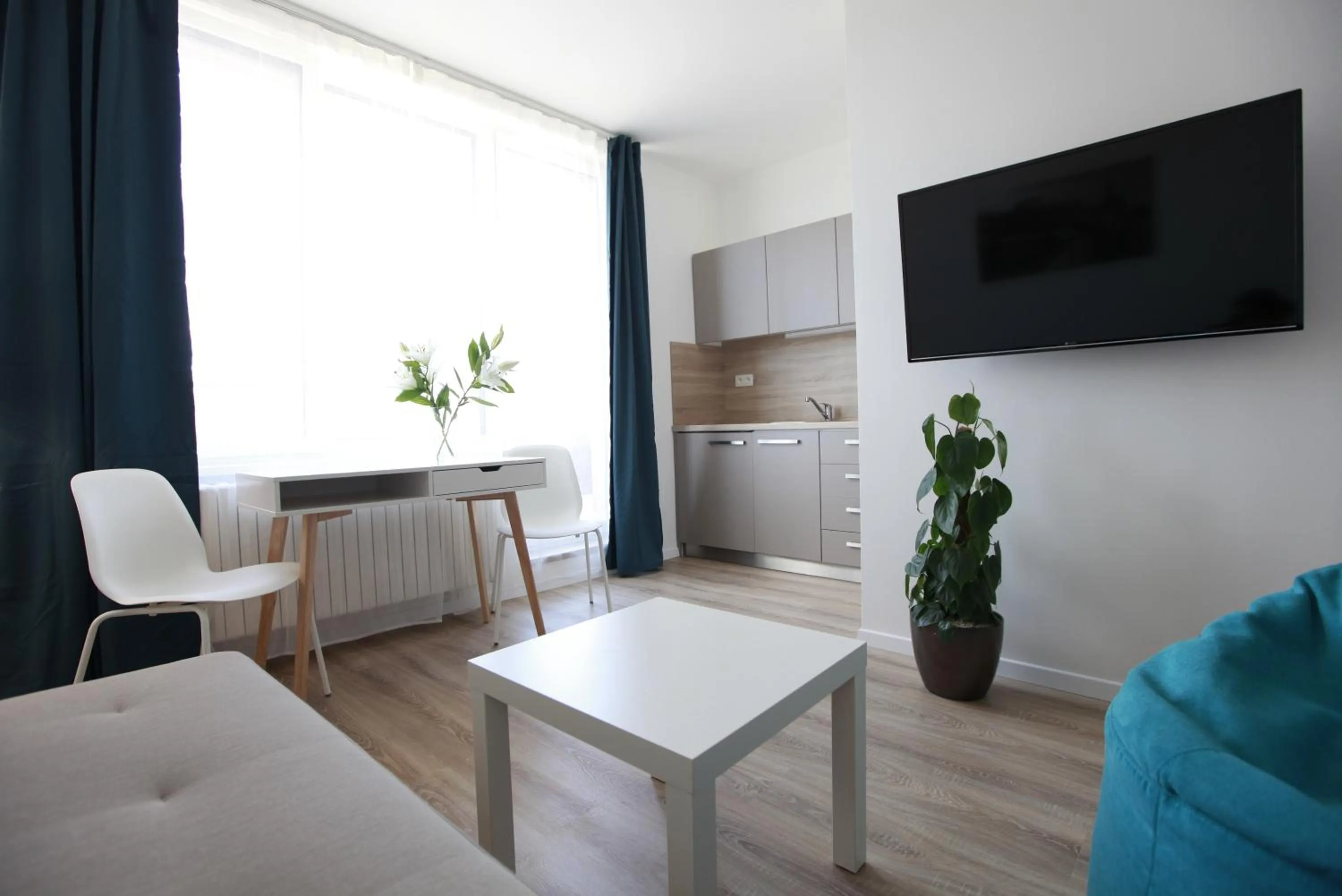TV and multimedia in City Center Best Place Apartments