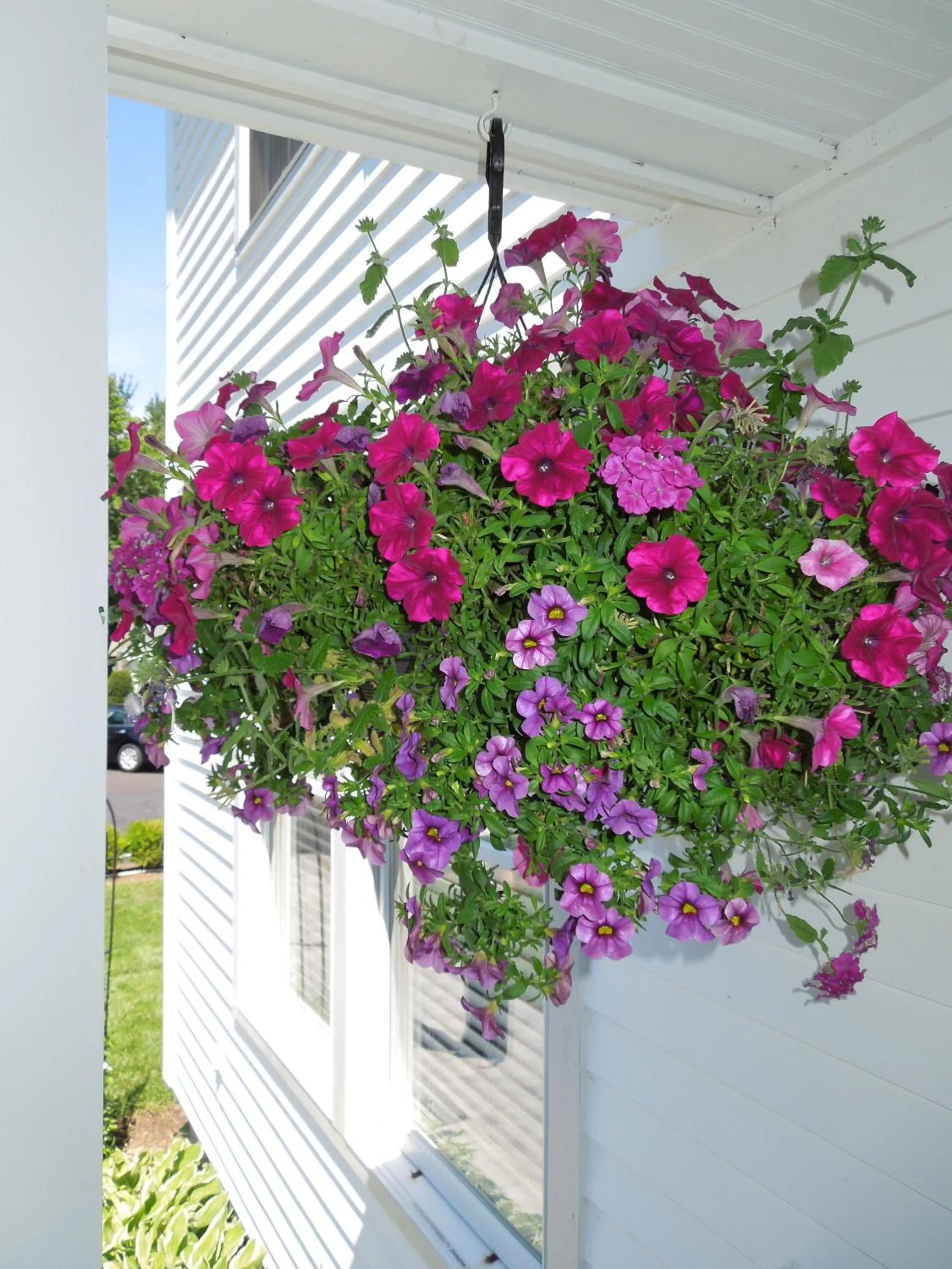 Facade/entrance in Victoria Inn