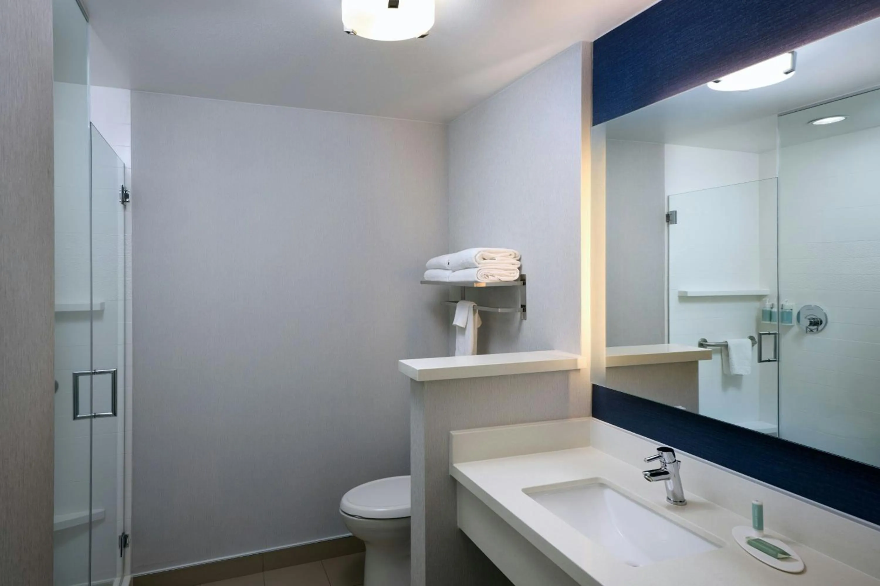 Bathroom in Fairfield Inn & Suites by Marriott Denver Downtown