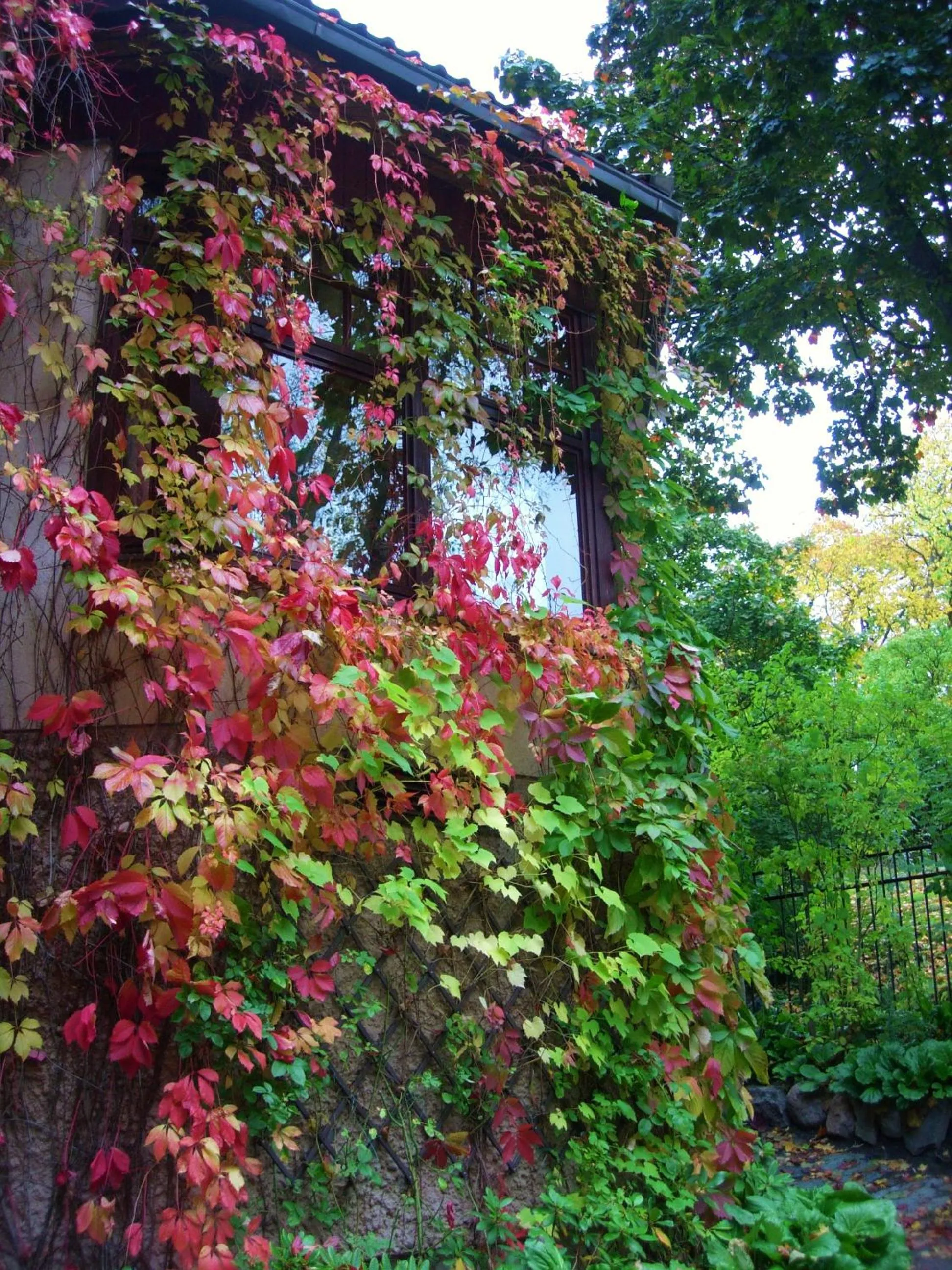 Property building in Park Hotel Turku