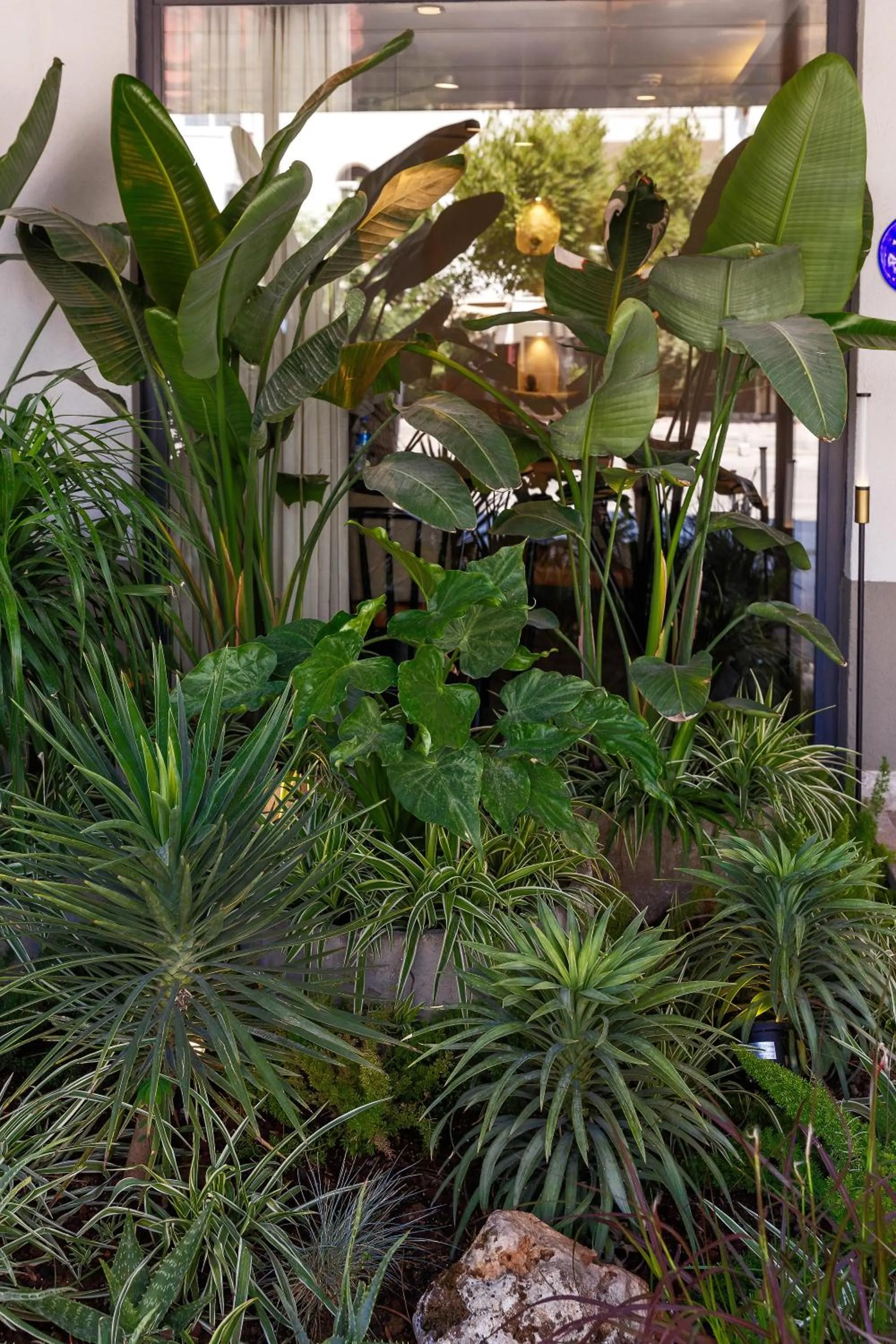 Garden in Sherwood Premio Hotel