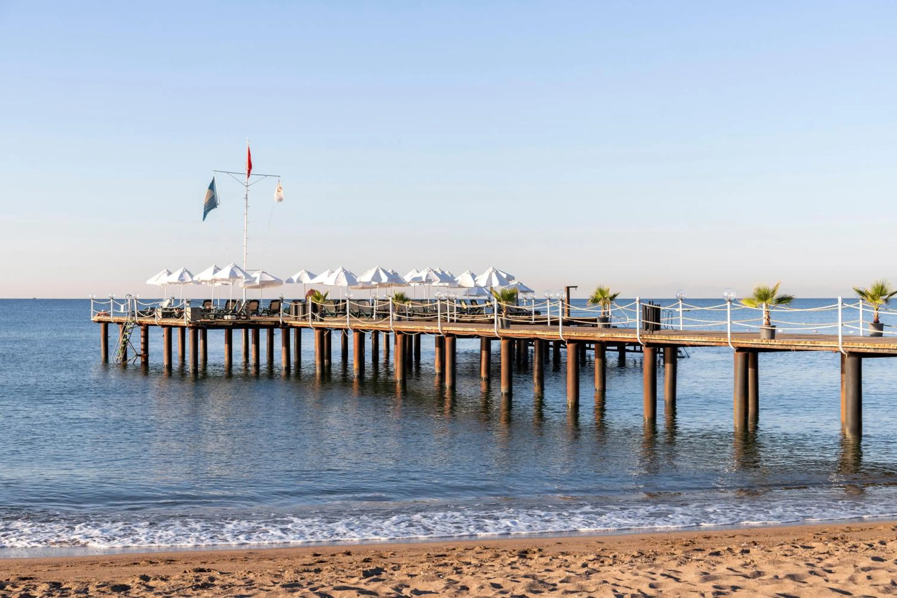 Pets in Sherwood Exclusive Lara