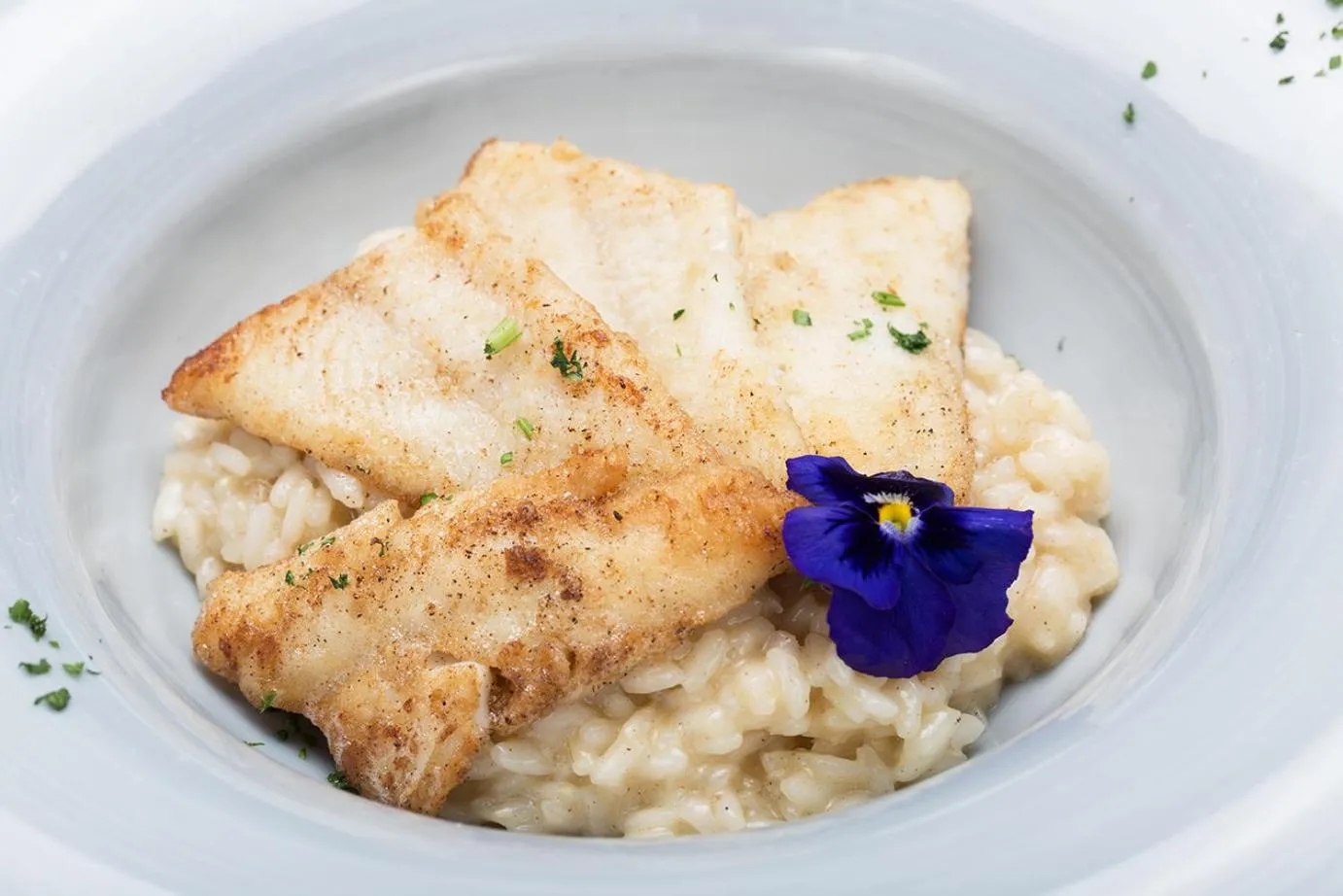 Lunch in Hotel Orso Bruno