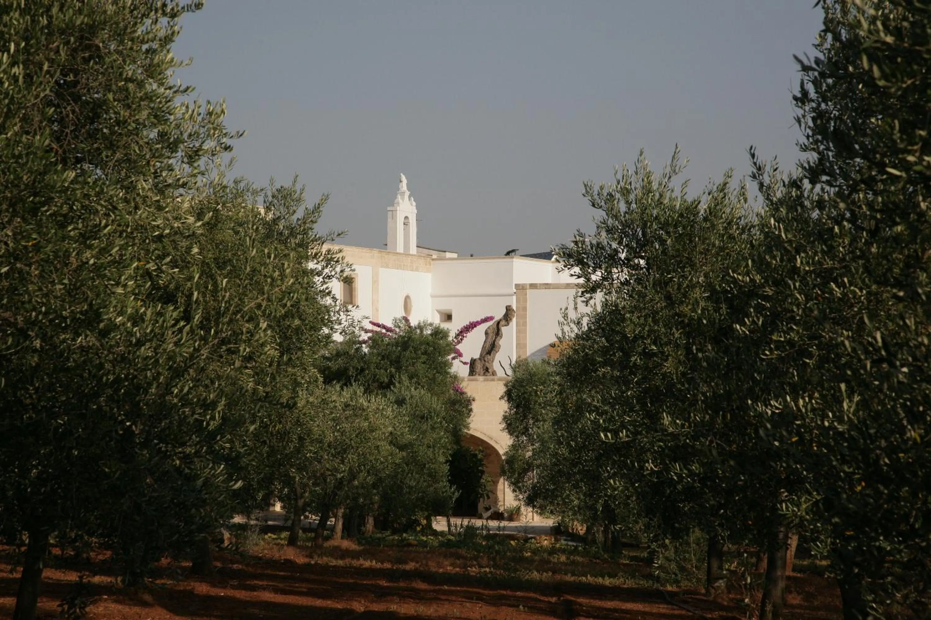Other in Masseria San Martino