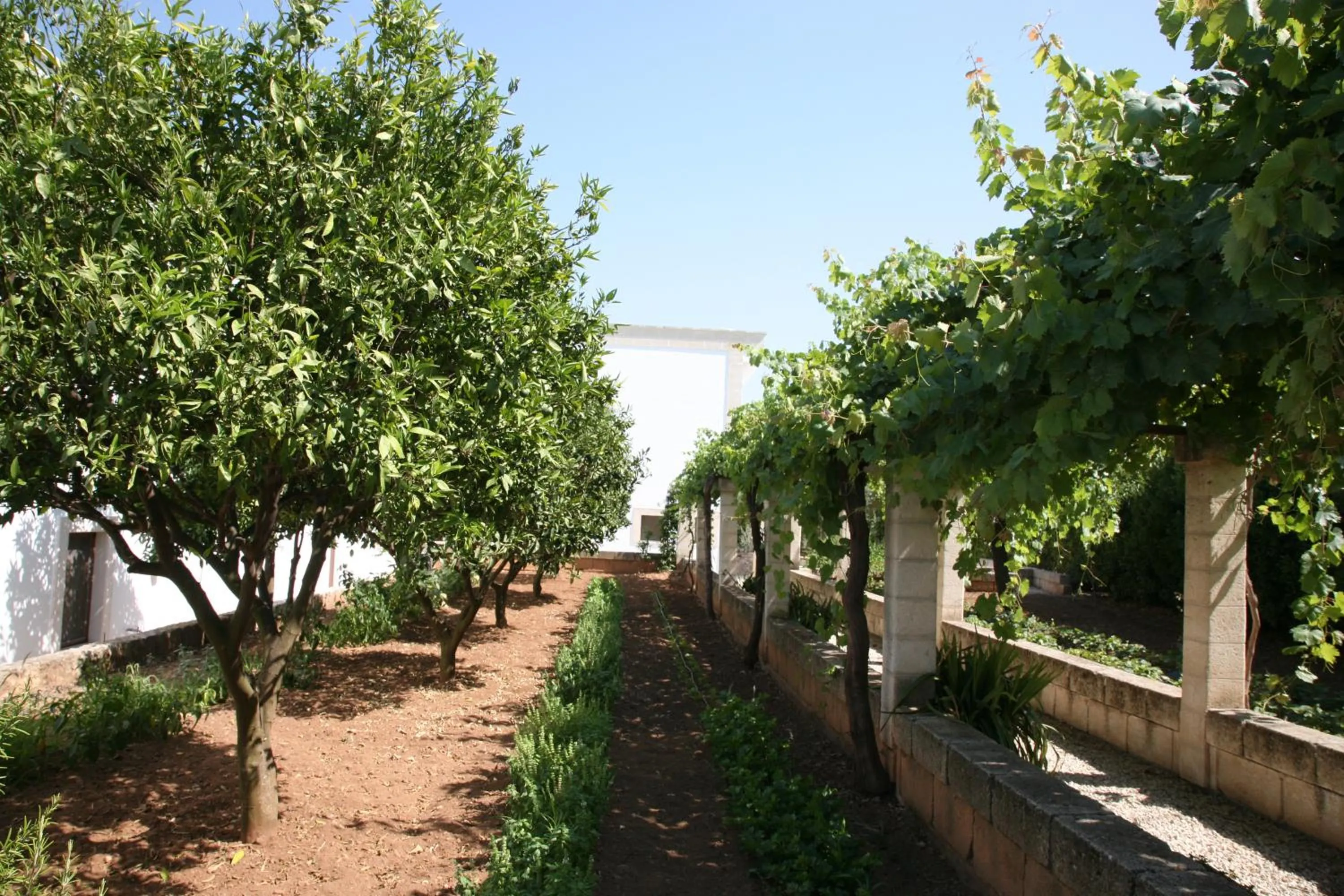 Garden in Masseria San Martino
