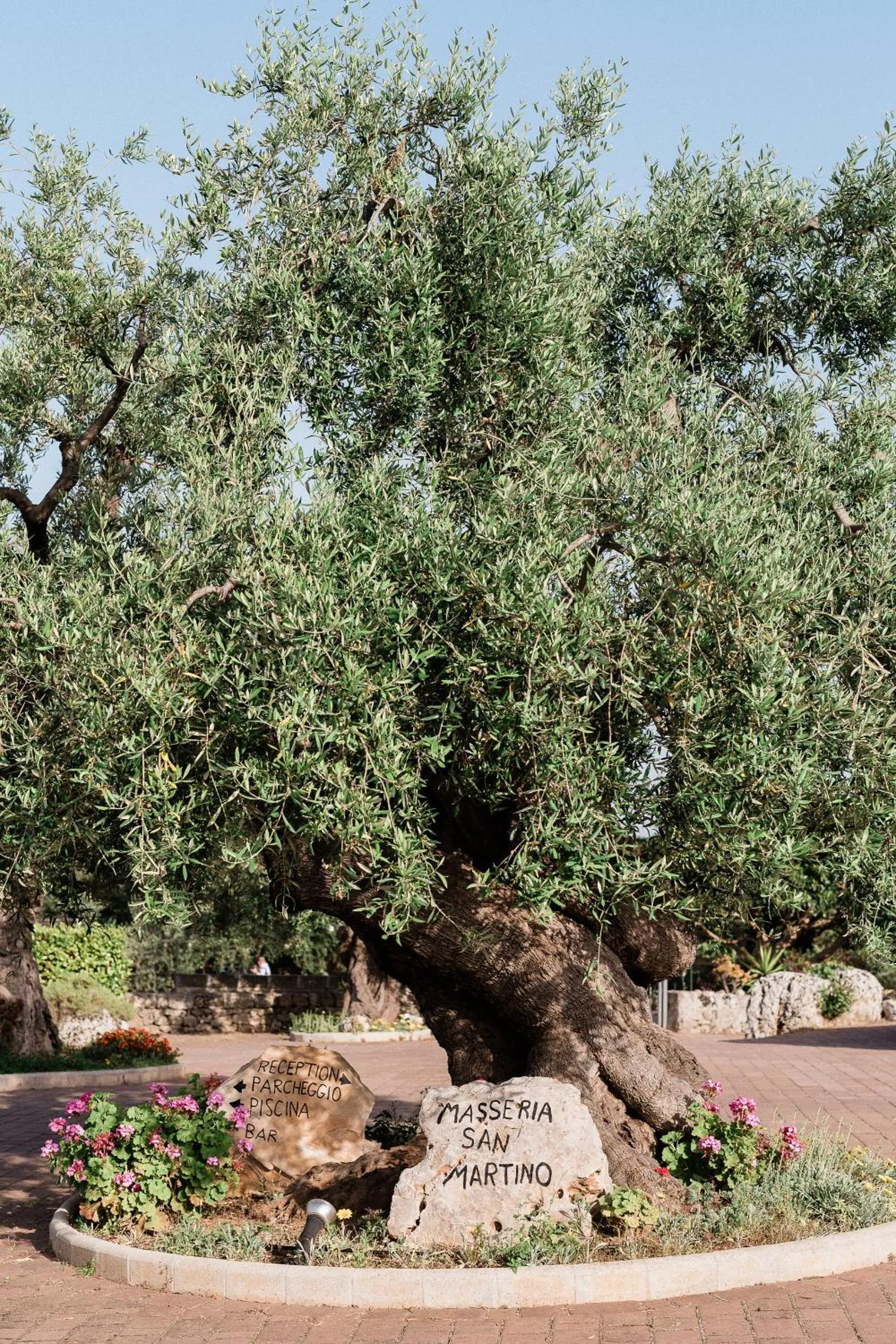 Facade/entrance in Masseria San Martino