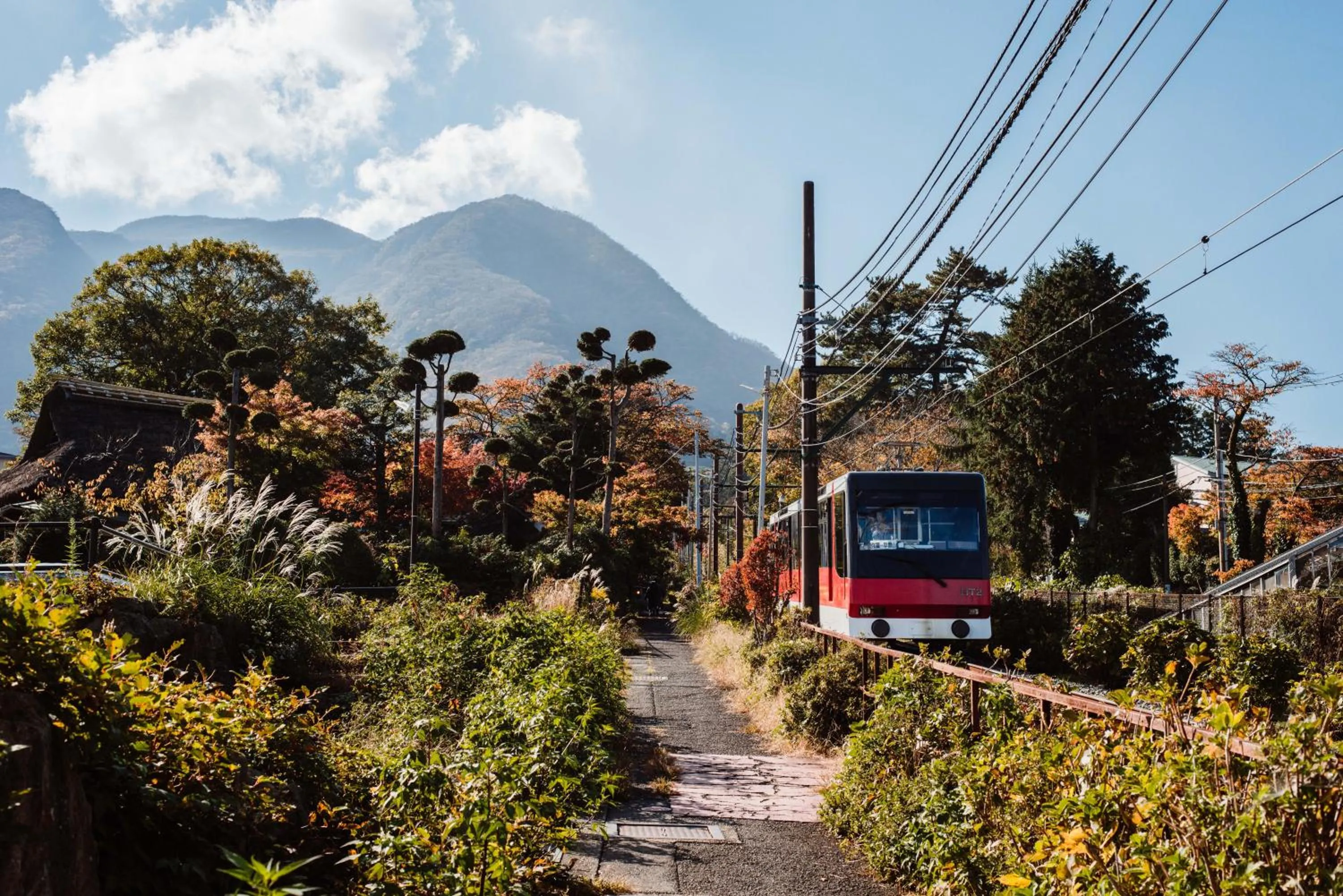 Natural landscape in WPU HOTEL Hakone