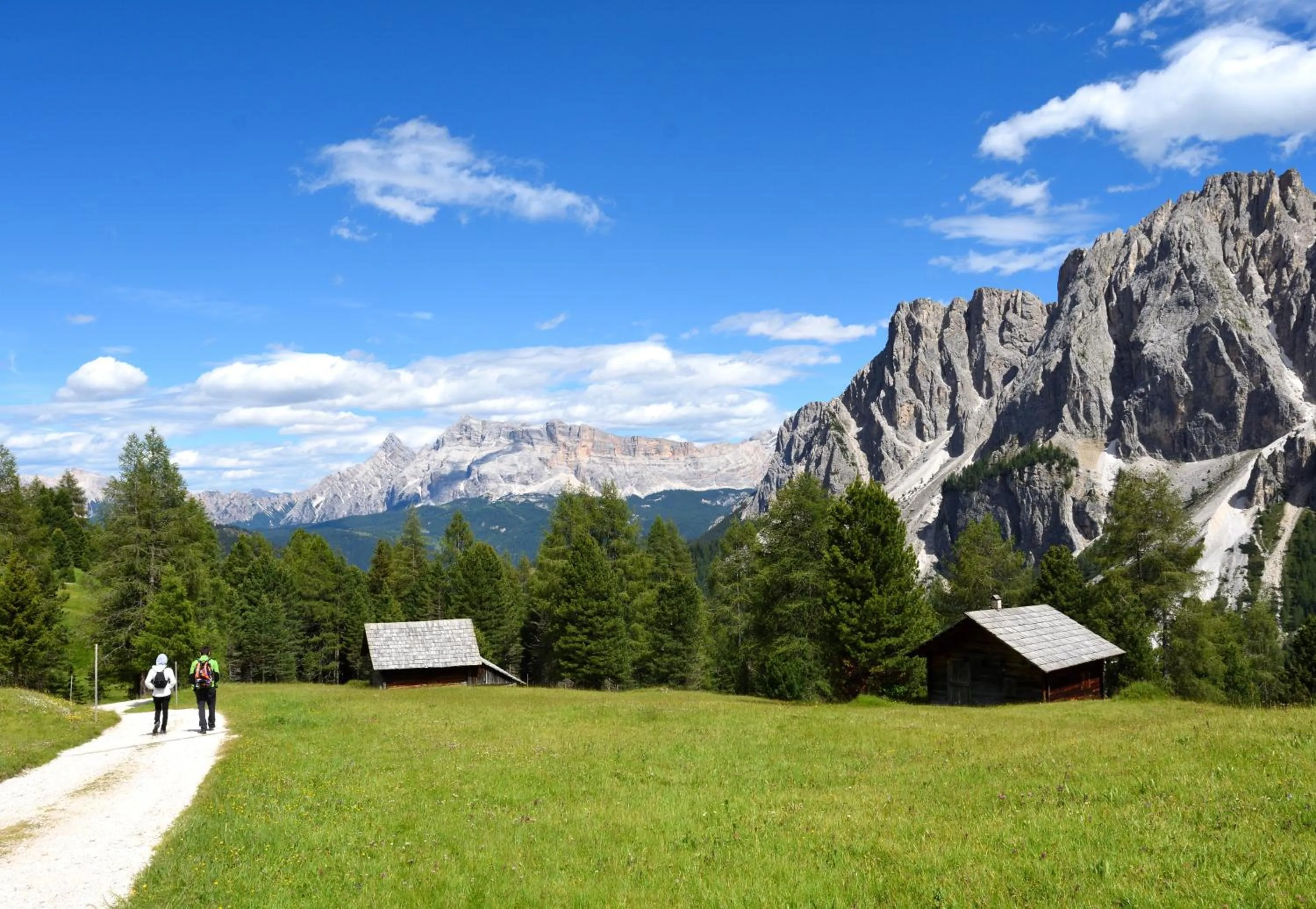 Natural landscape in Hotel Teresa