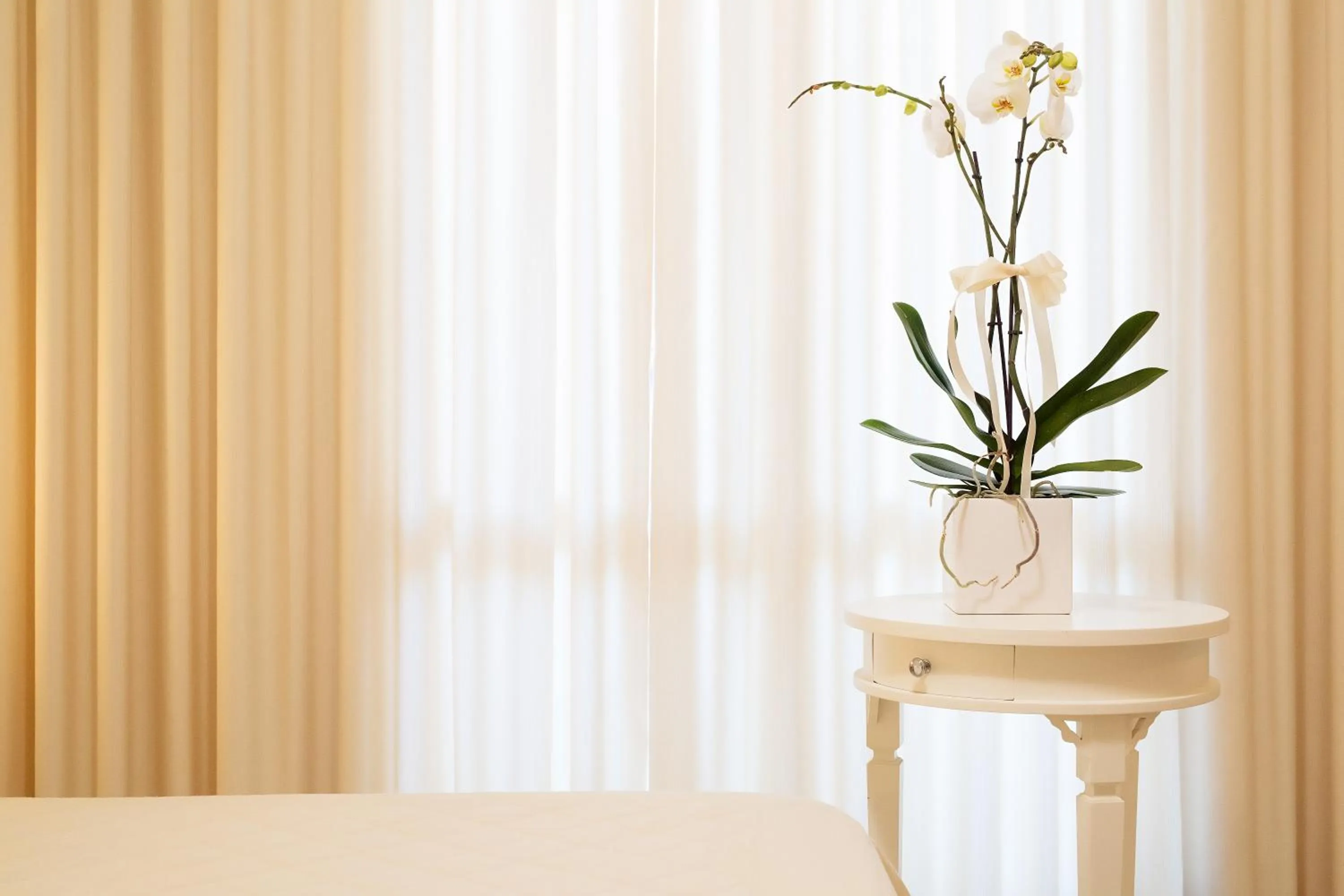 Natural landscape in Hotel Rosmarina